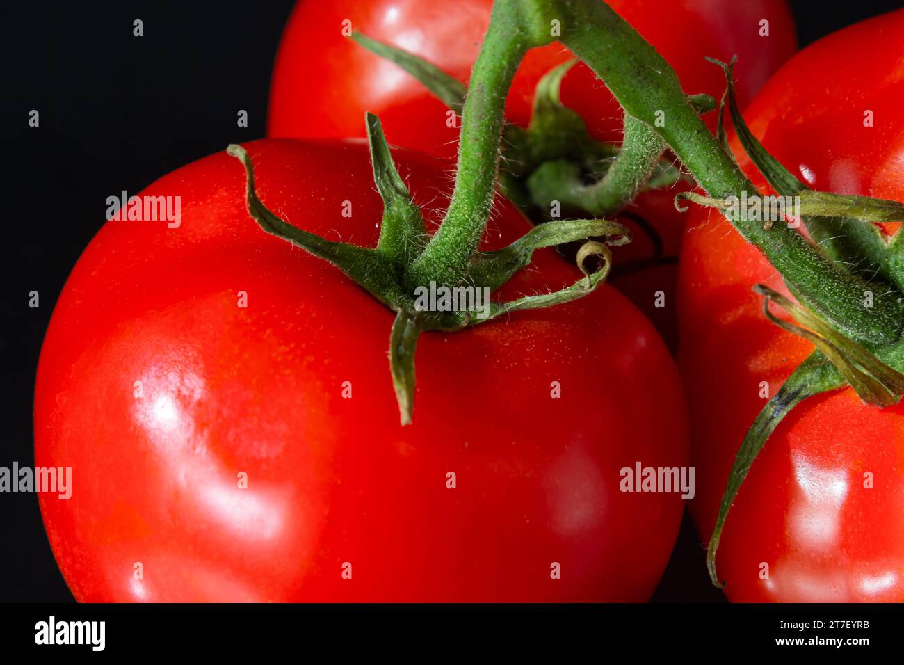 Rote reife Tomaten mit leuchtenden Wassertropfen. Frische appetitanregende natürliche Antioxidantien in leckeren Tomaten. Ein Haufen Tomaten, isoliert auf schwarzem Rücken Stockfoto