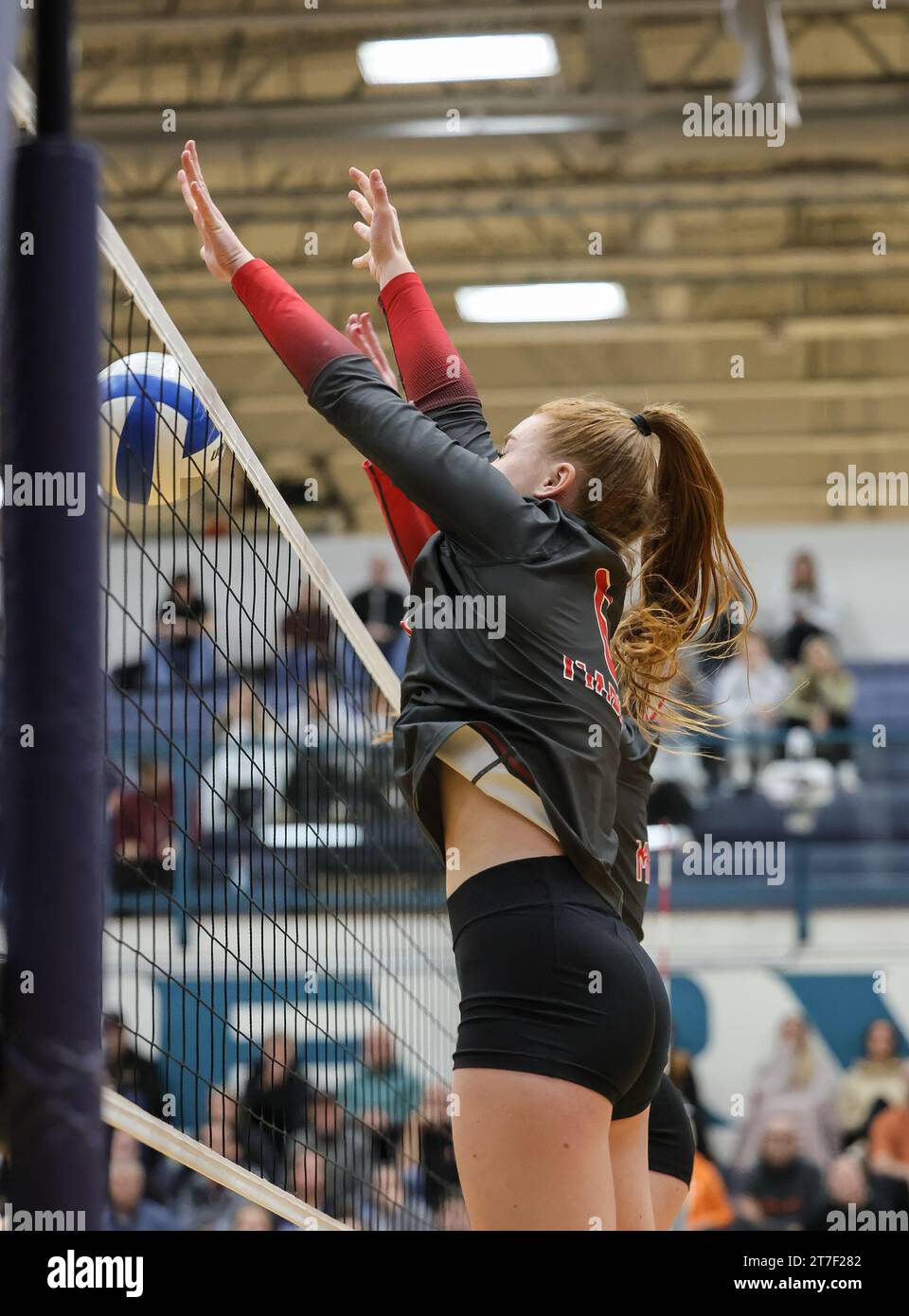 High School Volleyball Action mit Madison vs Post Falls in Coeur d'Alene, Idaho. Stockfoto