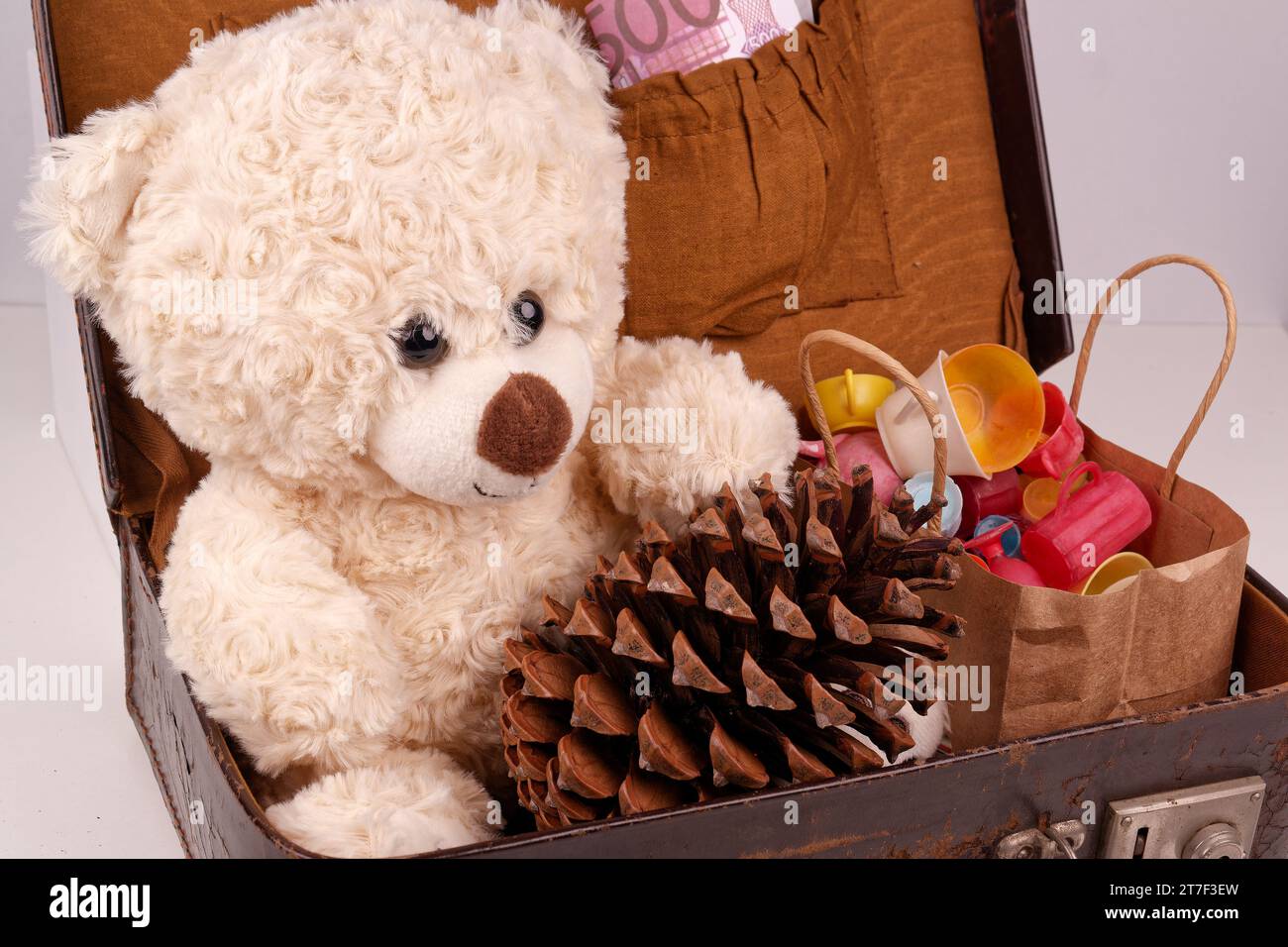 Ein Teddybär sitzt in einem alten Koffer mit einem Tannenzapfen Stockfoto