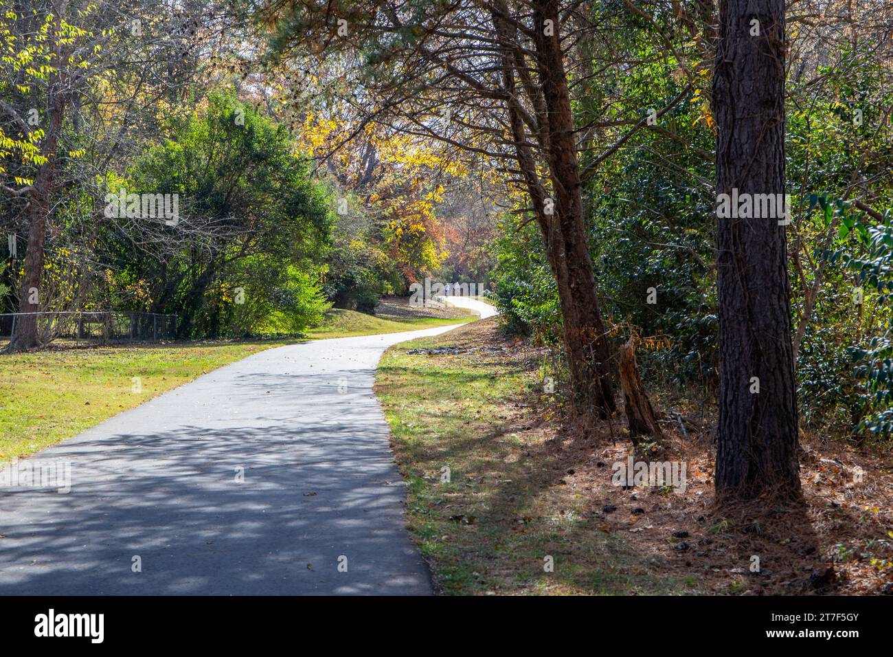 Zwei entfernte Radfahrer fahren auf einem gepflasterten Weg durch eine Herbstszene mit wechselnden Blättern. Stockfoto