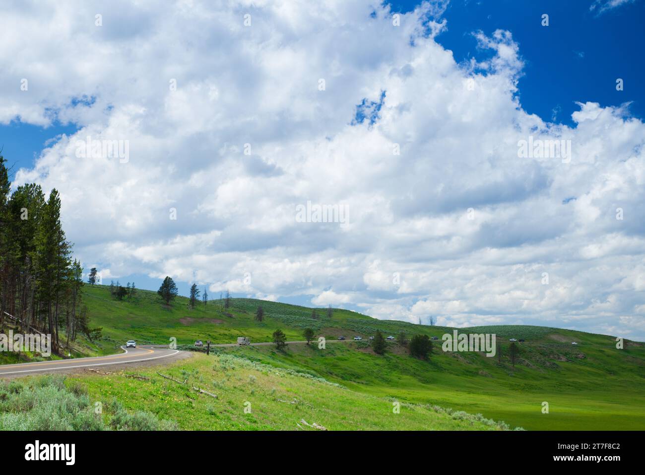 Malerischer Blick auf das Hayden Valley, Straße entlang des Tals Stockfoto