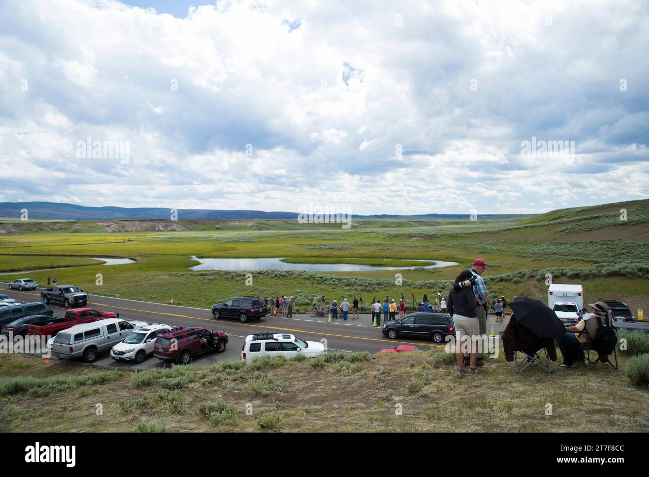 Yellowstone, Amerika – 14. Juni 2016: Touristen warten auf die Sichtung eines Bären Stockfoto