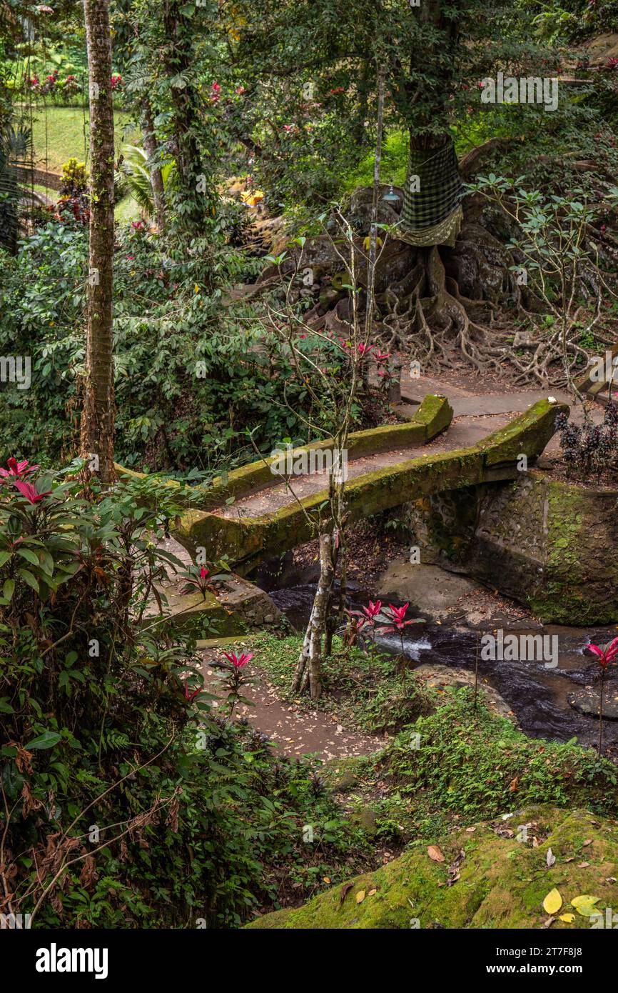 Goa Gajah - Elefantenhöhle. Dieser Park-ähnliche Tempelkomplex bietet einen wunderschönen Garten mit alten Bäumen und tropischen Pflanzen. Tolle verzauberte Wege Bali Stockfoto