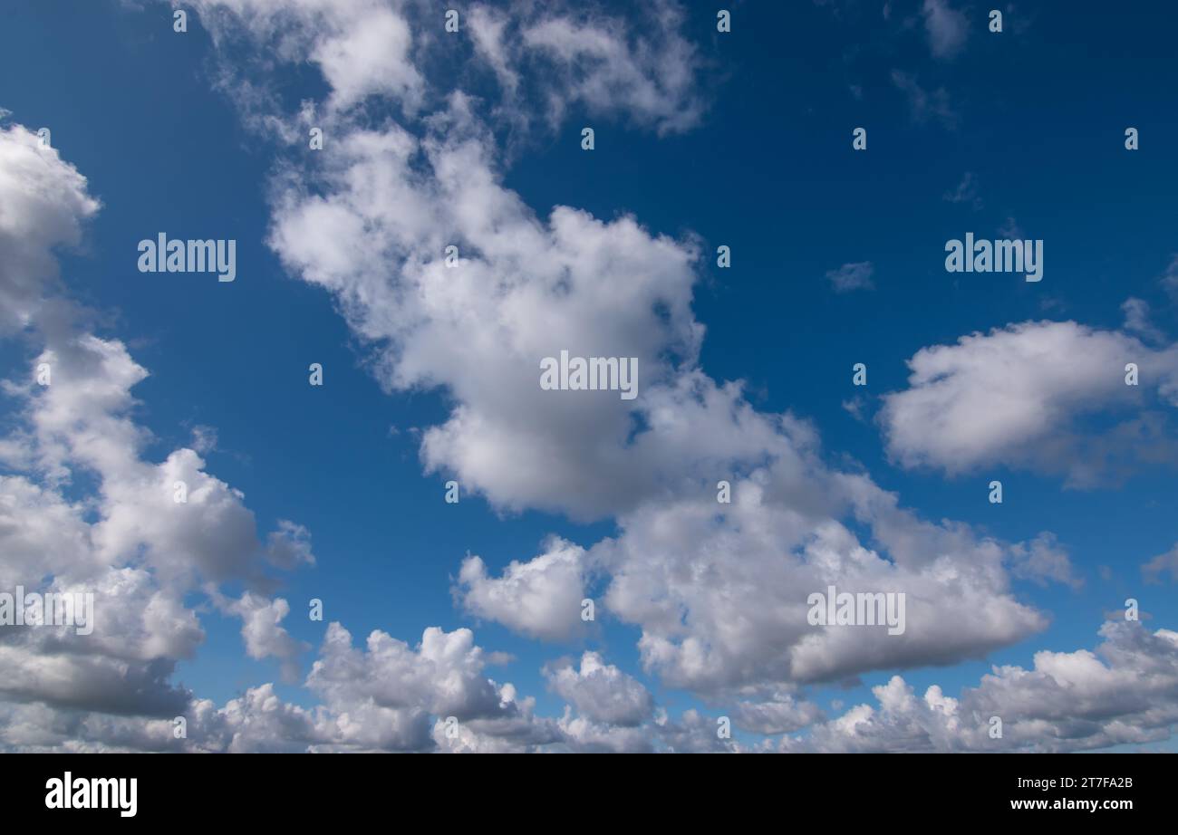 Blauer Himmel Hintergrund mit Cumulus Wolken. Stockfoto