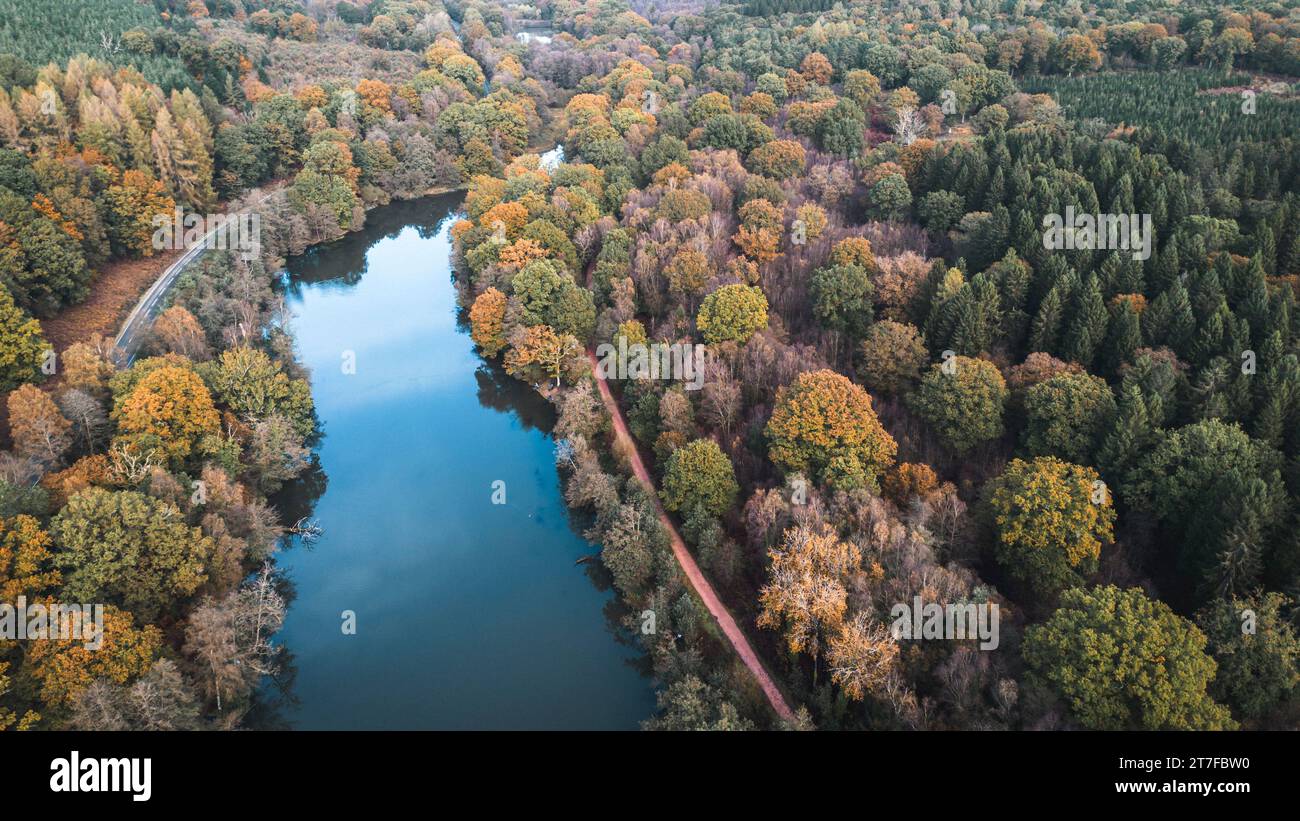 Cannop Ponds, Forest of Dean, Gloucestershire. UK. Ein alter Staudamm an diesem Standort veranlasst eine Überprüfung der Optionen Stockfoto