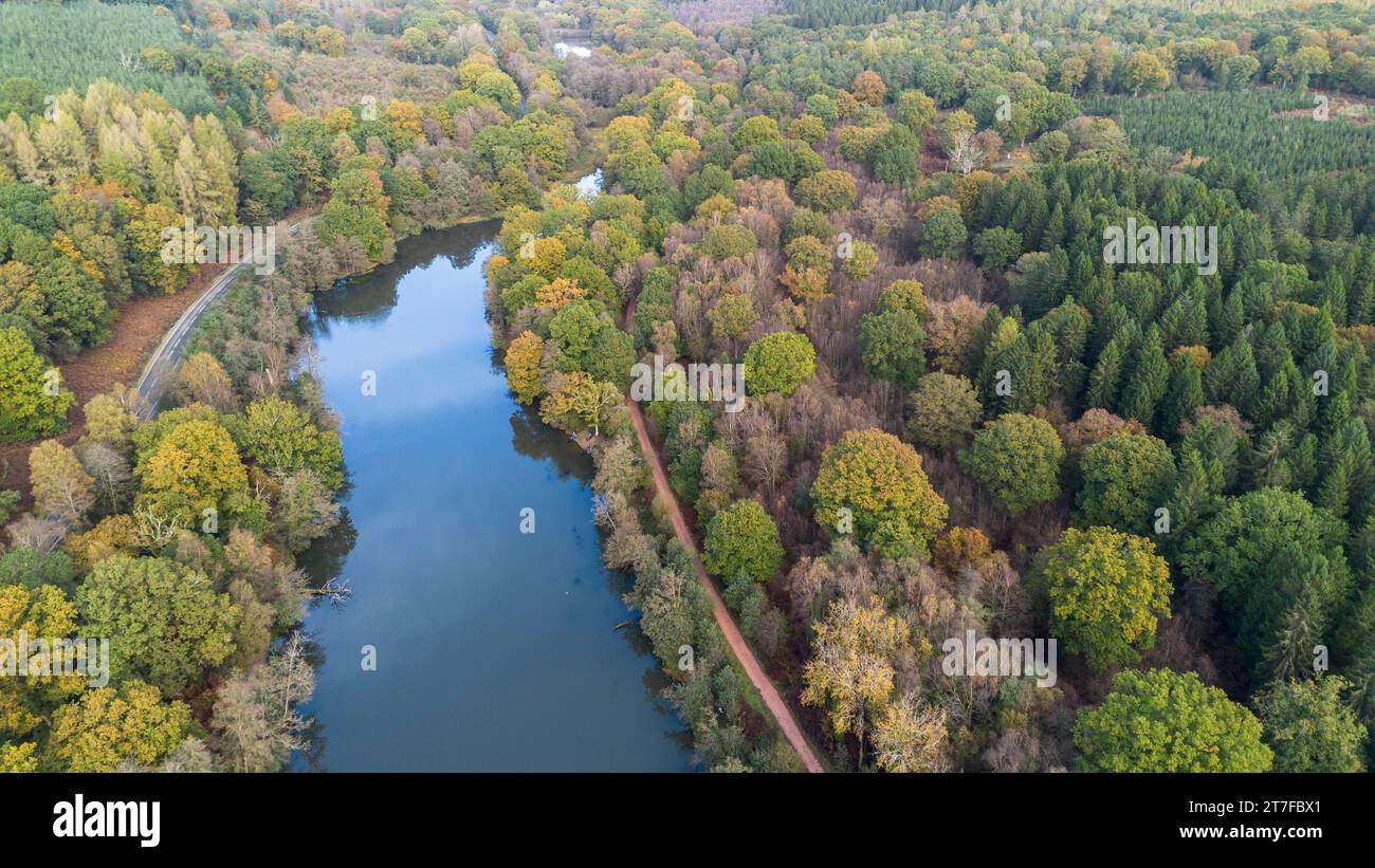 Cannop Ponds, Forest of Dean, Gloucestershire. UK. Ein alter Staudamm an diesem Standort veranlasst eine Überprüfung der Optionen Stockfoto