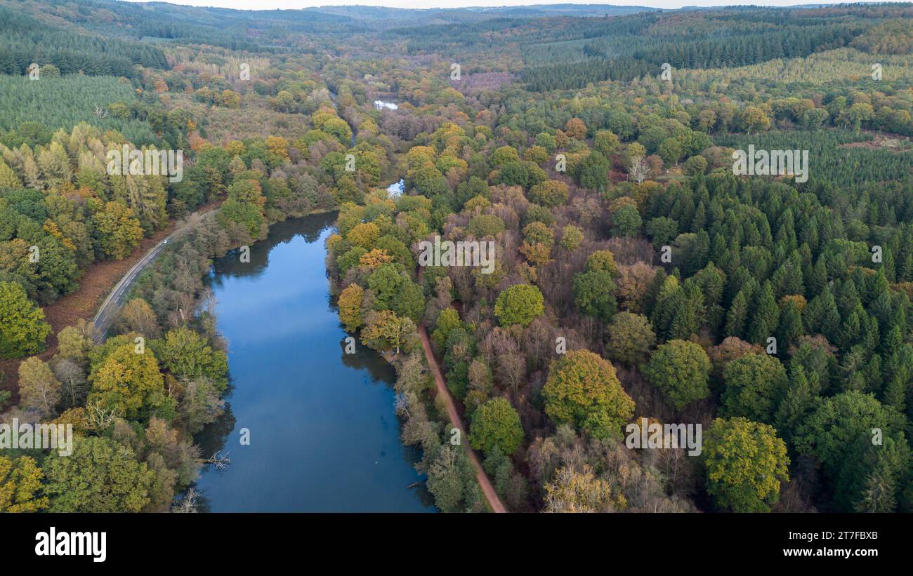 Cannop Ponds, Forest of Dean, Gloucestershire. UK. Ein alter Staudamm an diesem Standort veranlasst eine Überprüfung der Optionen Stockfoto