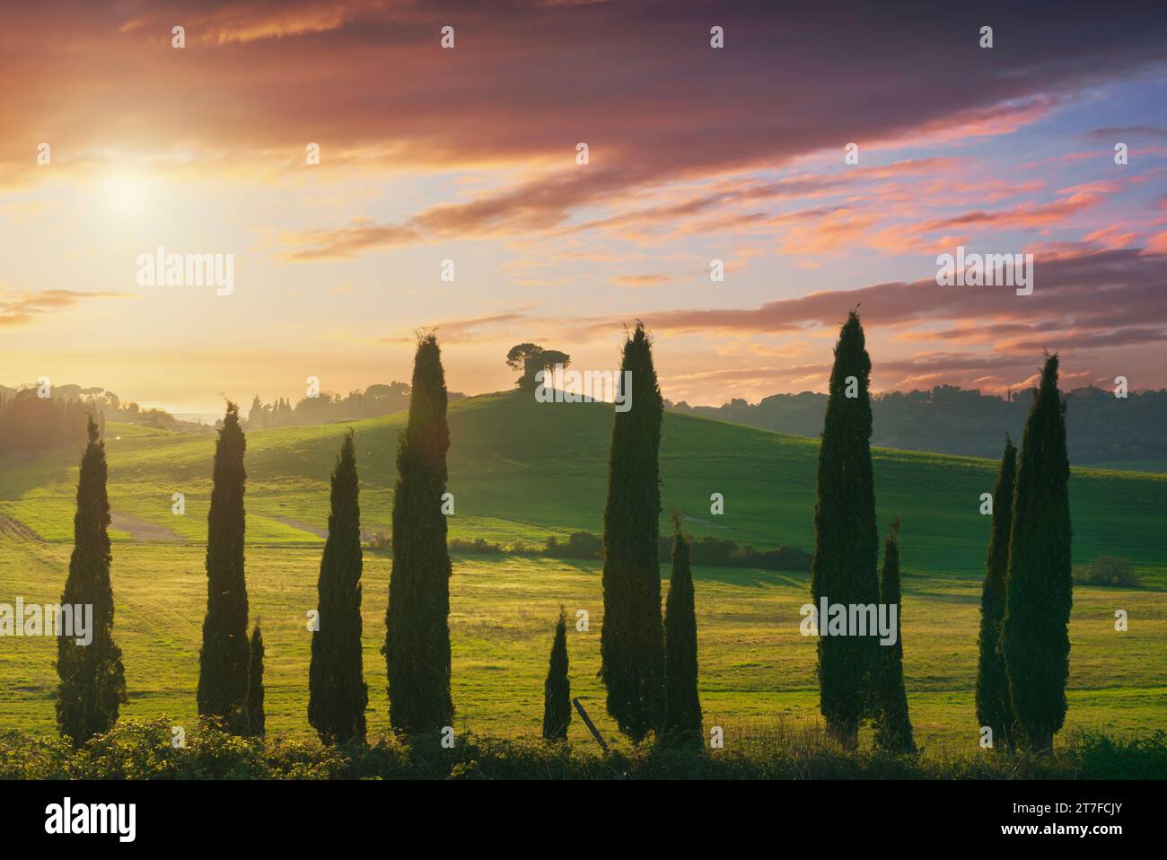 Landschaft bei Sonnenuntergang in der Maremma. Sanfte Hügel, Zypressen und eine alte Windmühle. Bibbona. Toskana, Italien, Europa Stockfoto