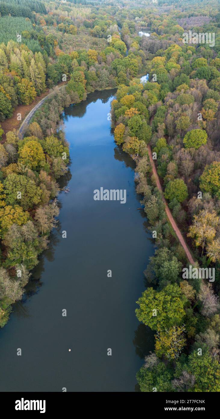 Cannop Ponds, Forest of Dean, Gloucestershire. UK. Ein alter Staudamm an diesem Standort veranlasst eine Überprüfung der Optionen Stockfoto