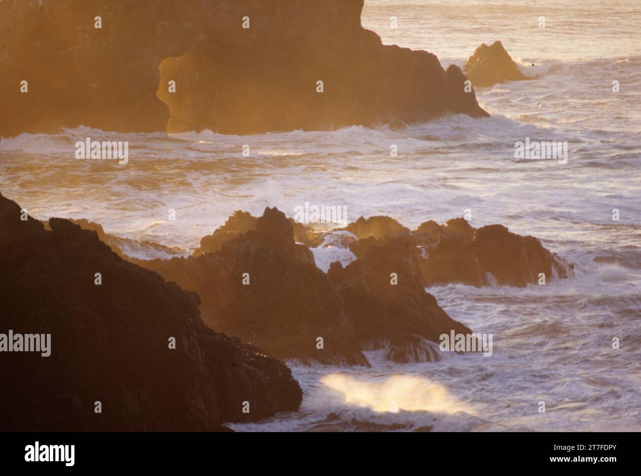 Offshore-Felsen, Ecola State Park, Oregon Stockfoto