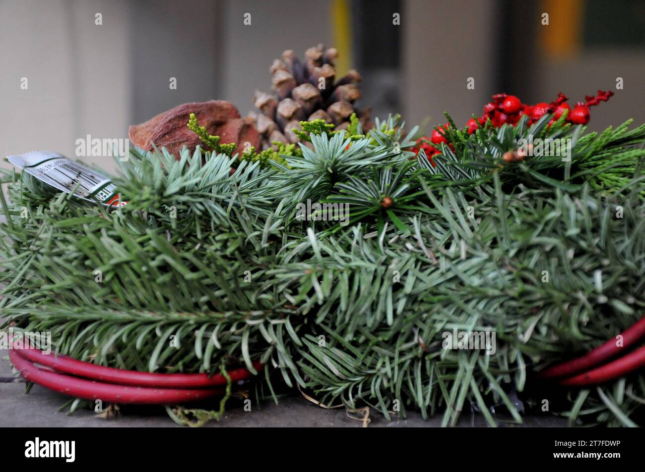 Kopenhagen, Dänemark /15. November 2023/. Blumen und Pflanzen für Christbaumschmuck zum Verkauf in der dänischen Hauptstadt. (Photo.Francis Joseph Dean/Dean Pictures) Stockfoto