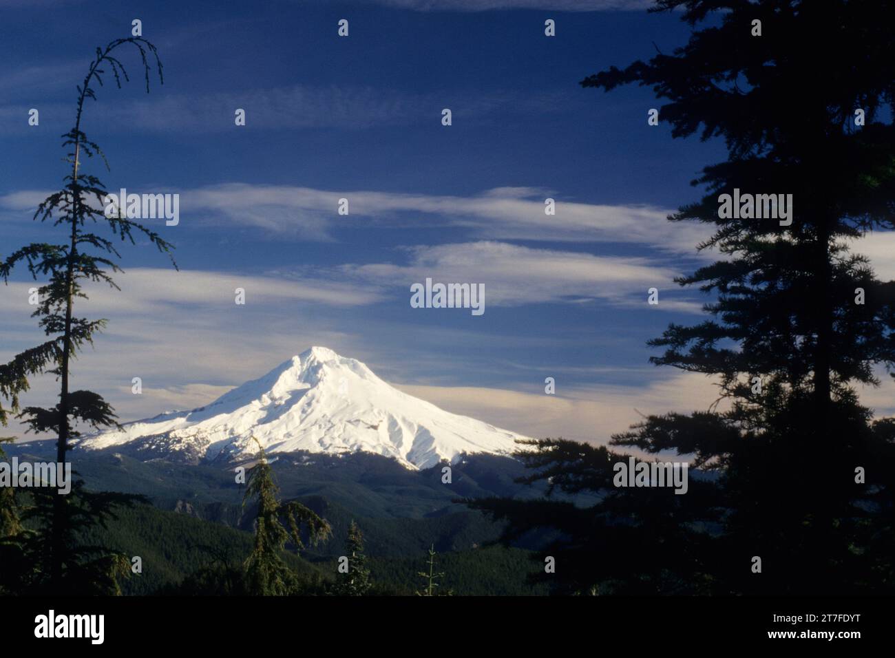 MT Hood von Dry Butte Ridge, Salmon-Huckleberry Wilderness, Mount Hood National Forest, Oregon Stockfoto