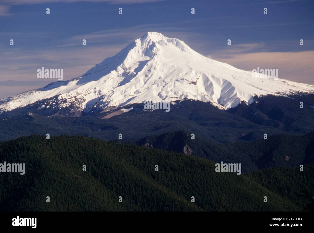 MT Hood von Dry Butte Ridge, Salmon-Huckleberry Wilderness, Mount Hood National Forest, Oregon Stockfoto