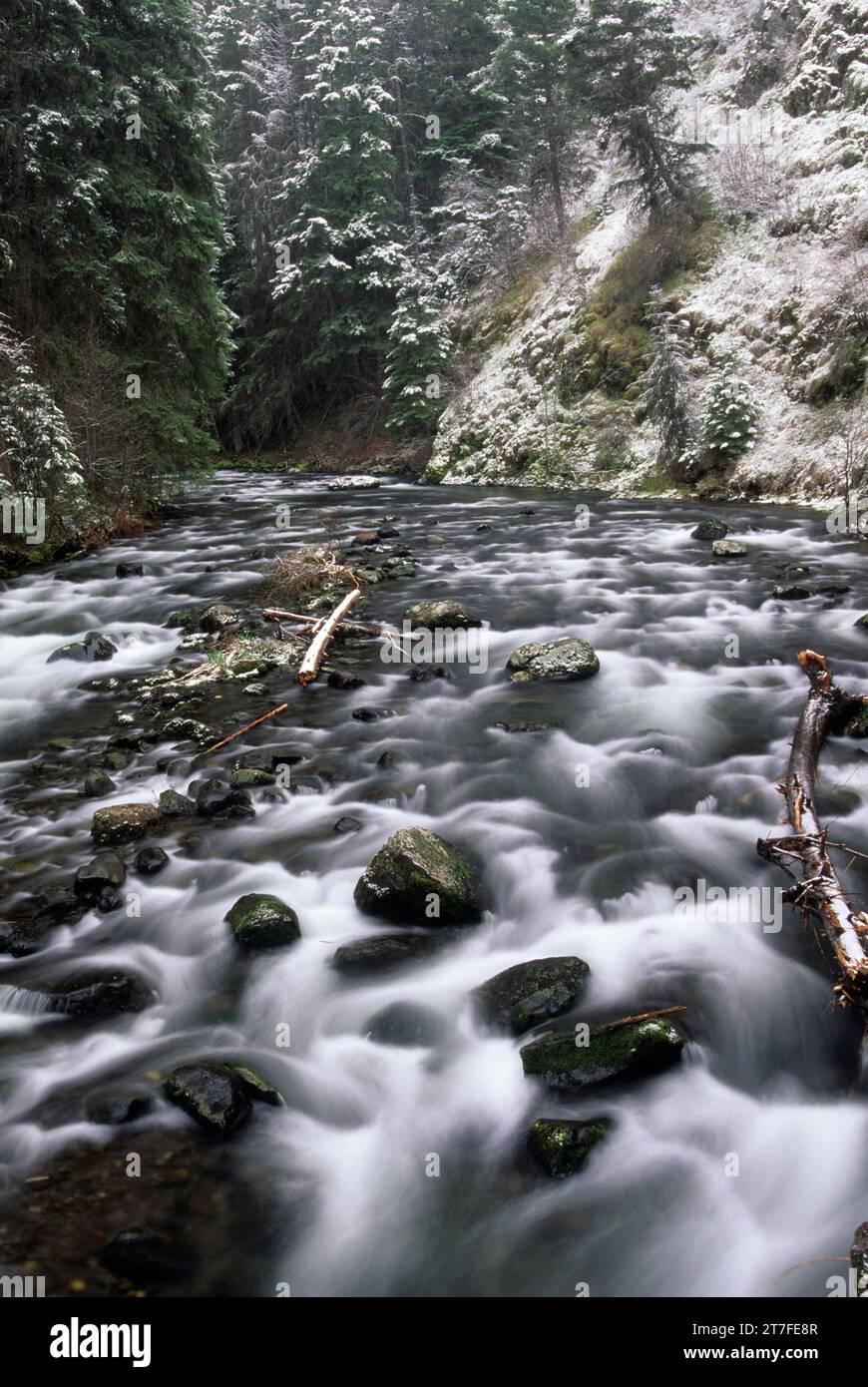 Bear Creek, Wallowa-Whitman National Forest, Oregon Stockfoto