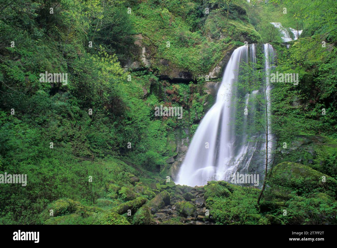 Elk Creek Falls, Siskiyou National Forest, Oregon Stockfoto