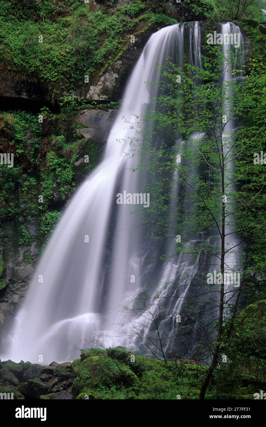 Elk Creek Falls, Siskiyou National Forest, Oregon Stockfoto