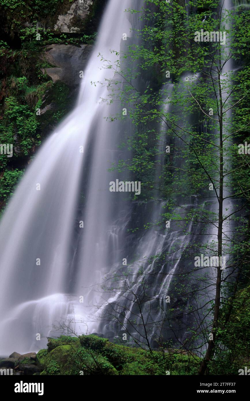 Elk Creek Falls, Siskiyou National Forest, Oregon Stockfoto