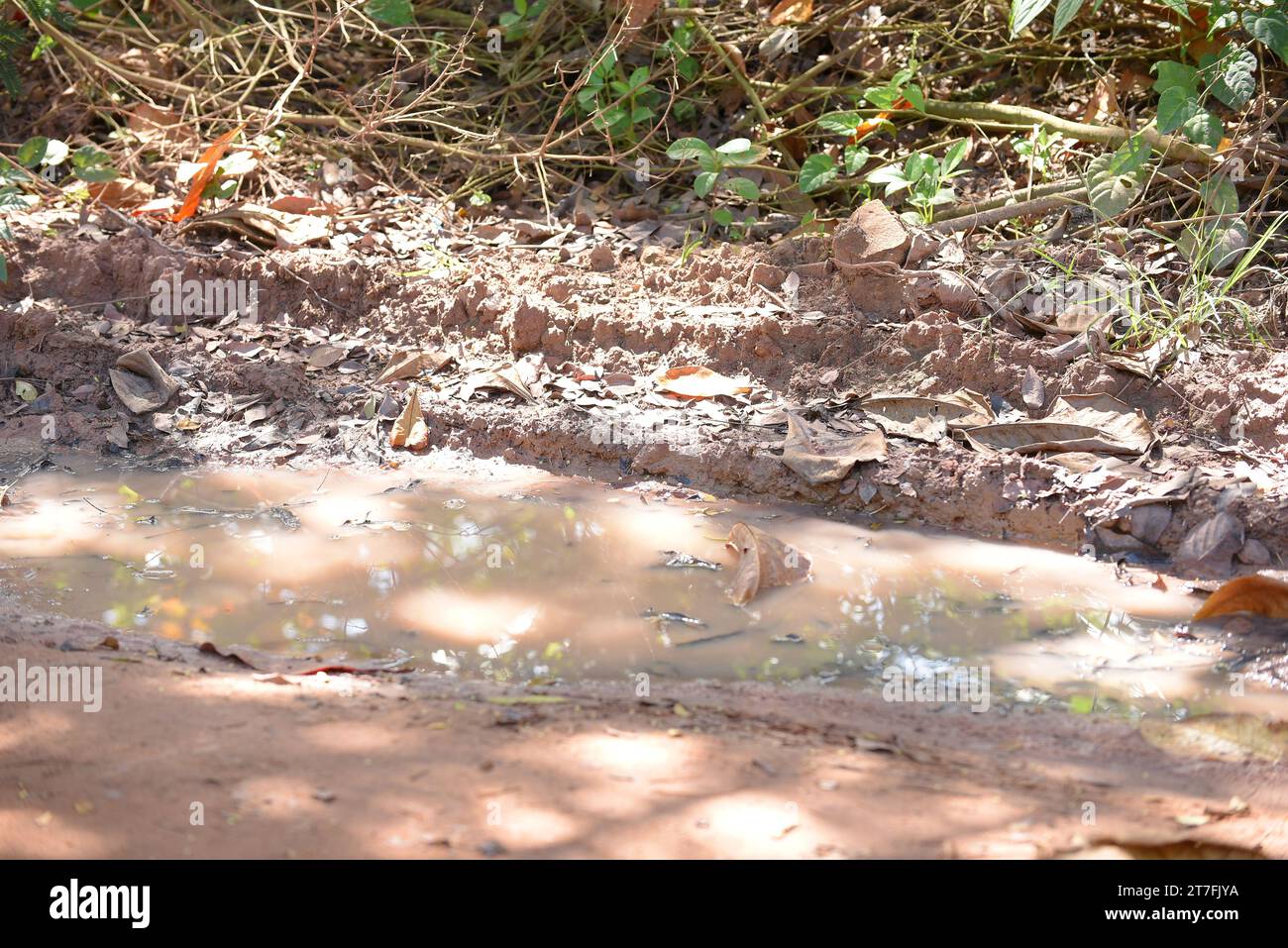 Straße mit stagnierendem Wasser auf dem Boden innen, ein Ort für die Verbreitung von Aedes aegypti Larven, Dengue, Chikungunya, zika Virus überschwemmende Quagm Stockfoto