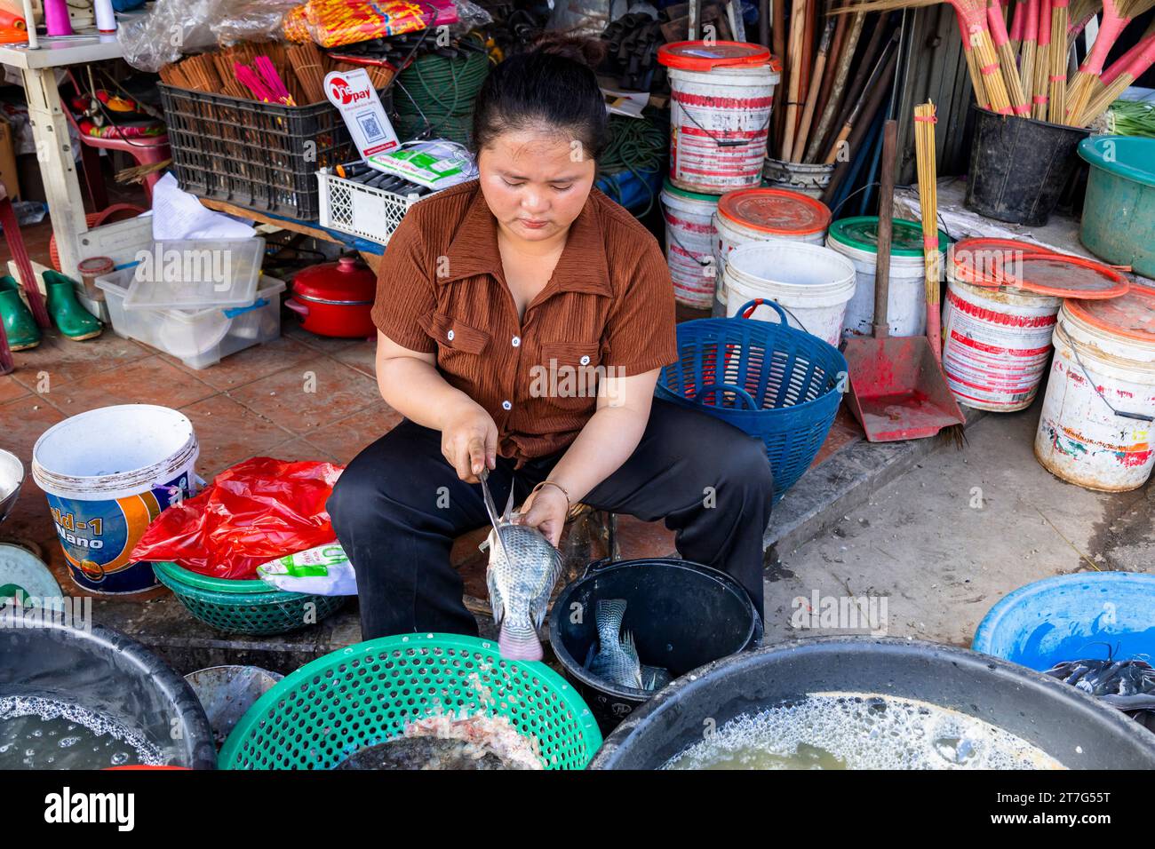 Straße des zentralen Marktes, Frau, die Fische verkauft, Phonsavan, Provinz Xiangkhouang, Laos, Südostasien, Asien Stockfoto