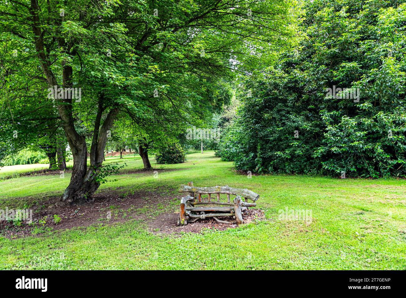 Rustikaler Stuhl in sehr grünem Park Stockfoto