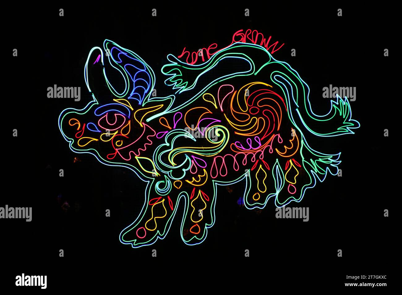 Durham City Market Place: Hurts so Good, Künstlerin Chila Burmans MBE, Neonlicht-Kunstwerke, die zusammen Burmans reiches Hindu-Punjabi-Erbe feiern, Durham City, Großbritannien, 15. November 2023, Quelle: DEW/Alamy Live News Stockfoto Durham City Market Place: Hurts so Good, Künstlerin Chila Burmans MBE, Neonlicht-Kunstwerke, die zusammen Burmans reiches Hindu-Punjabi-Erbe feiern, Durham City, Großbritannien, 15. November 2023, Quelle: DEW/Alamy Live News Stockfoto