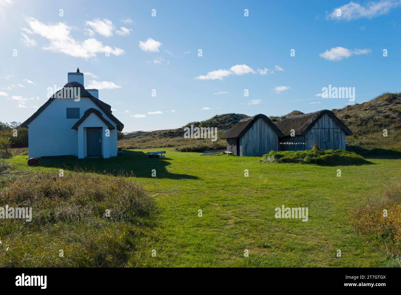 Reetdachhaus und Schuppen in Rabjerg Mile, Rabjerg Mile, Skagen, Skagens Odde, Jütland, Dänemark Stockfoto