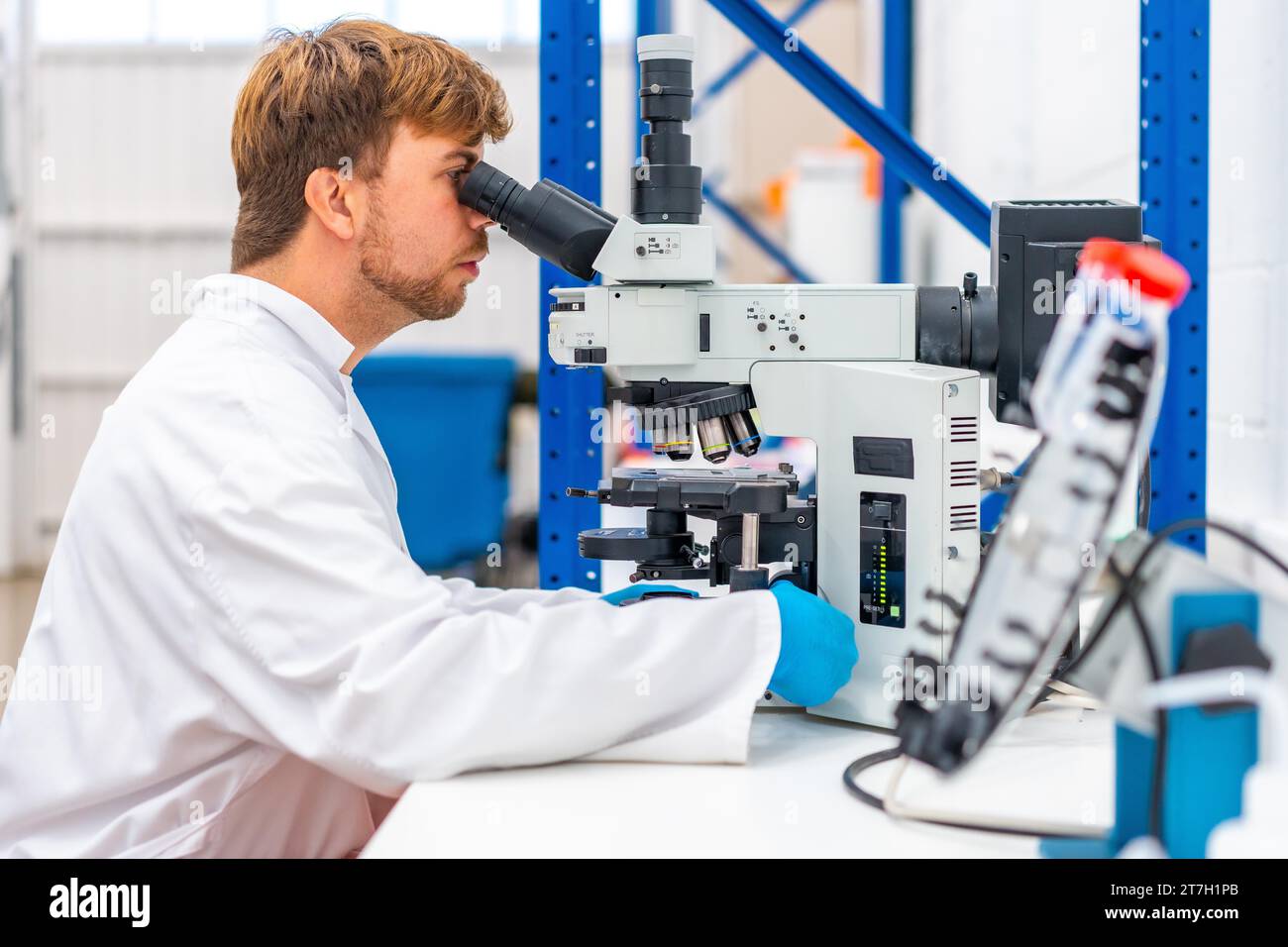 Seitenansicht eines jungen und kaukasischen Wissenschaftlers, der in ein Mikroskop blickt, das auf einem Labor sitzt Stockfoto