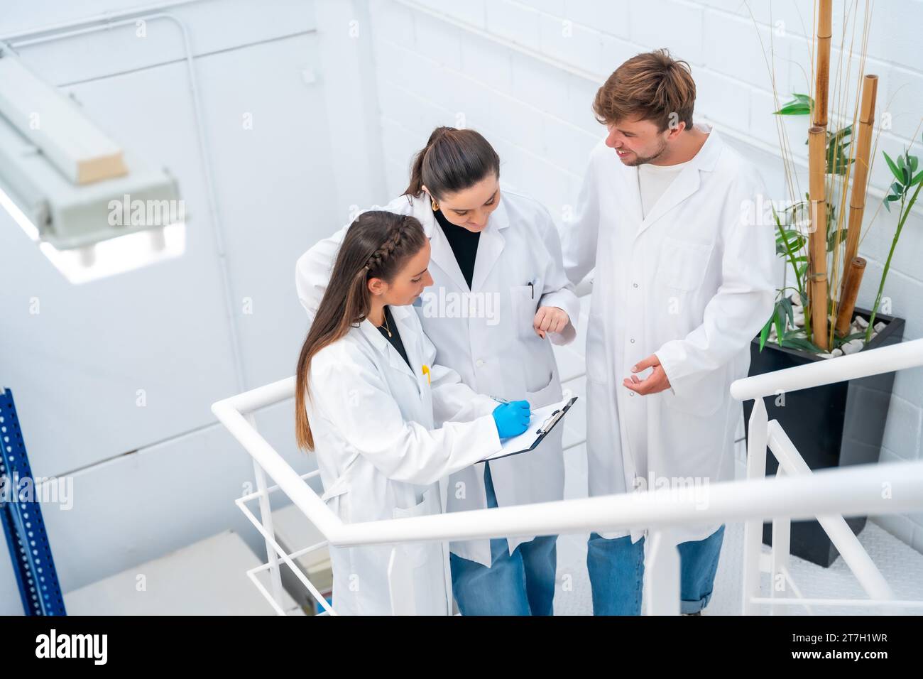 Draufsicht von drei Wissenschaftlern, die auf der Treppe eines Krebsforschungslabors sprechen und arbeiten Stockfoto