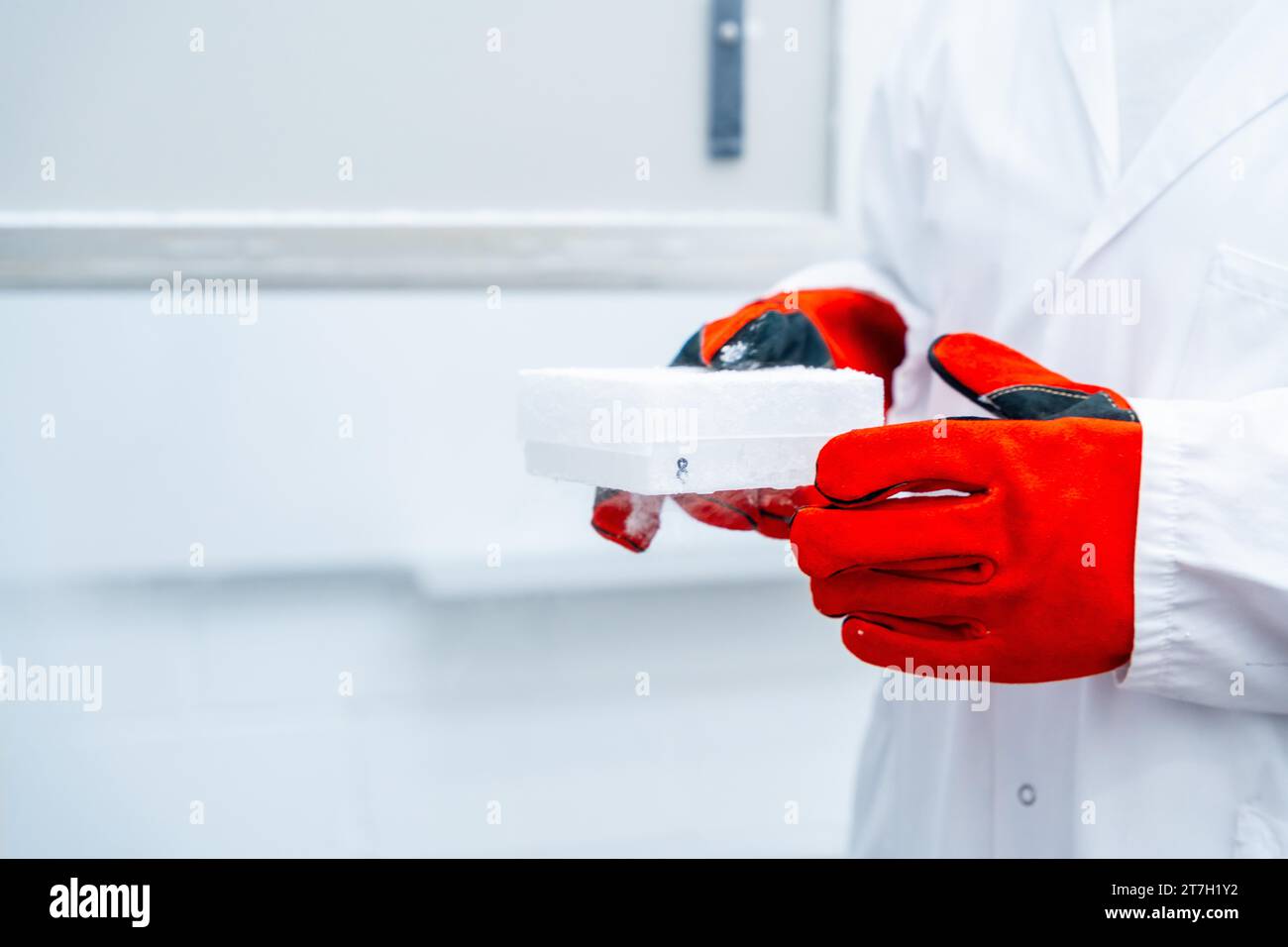 Nahaufnahme eines Wissenschaftlers mit roten Handschuhen, der eine Kiste mit gefrorenen Zellen in einem Labor zur Infektionsprävention hält Stockfoto