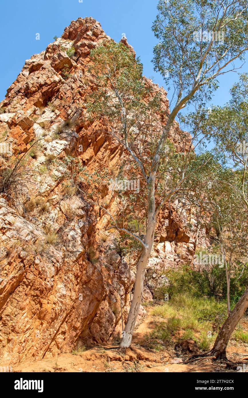 Jessie Gap, East MacDonnell Ranges Stockfoto