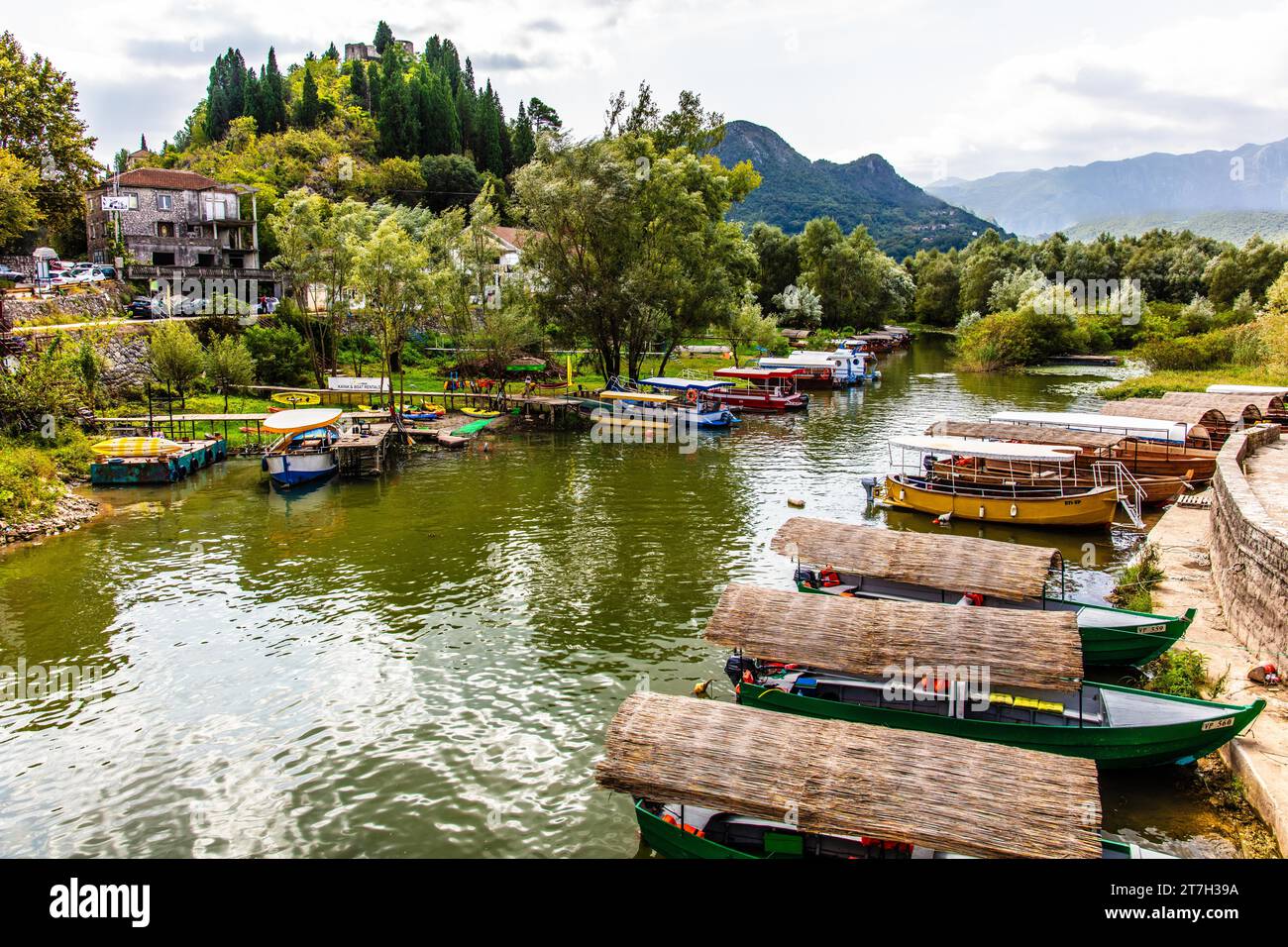 Naturparadies und Nationalpark Scutari-See, der größte See auf der Balkanhalbinsel zwischen Montenegro und Albanien, Scutari-See, Montenegro Stockfoto
