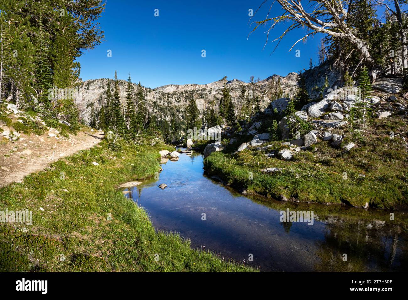 OR02745-00...OREGON - Elkhorn Creek am Eingang zu einer Elkhorn Creek Meadow in der Eagle Cap Wilderness Area. Stockfoto