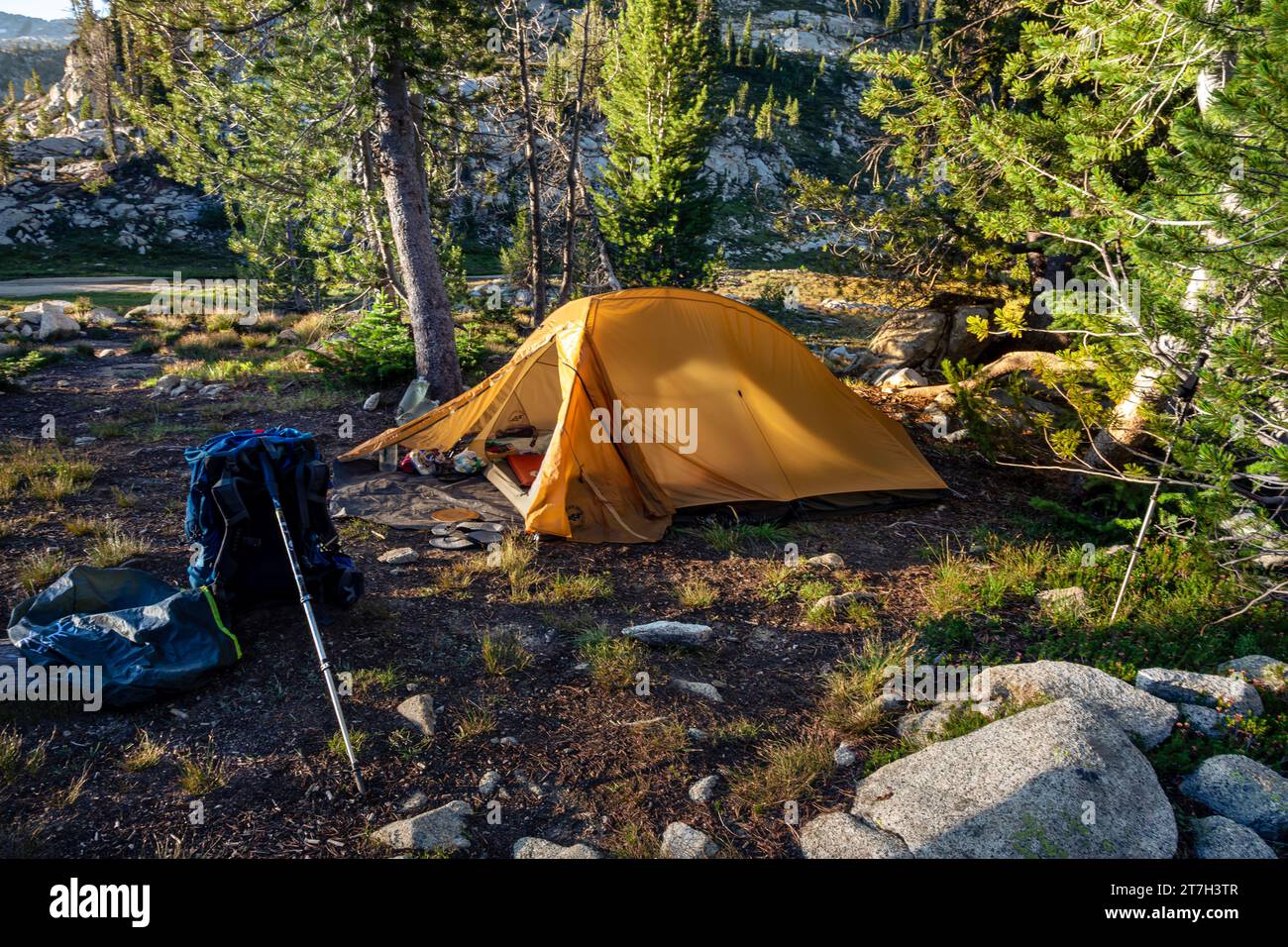 OR02747-00...OREGON - Campingplatz im Hinterland an der Elkhorn Creek Meadow im Abschnitt Eagle Cap Wilderness der Wallowa Mountains. Stockfoto