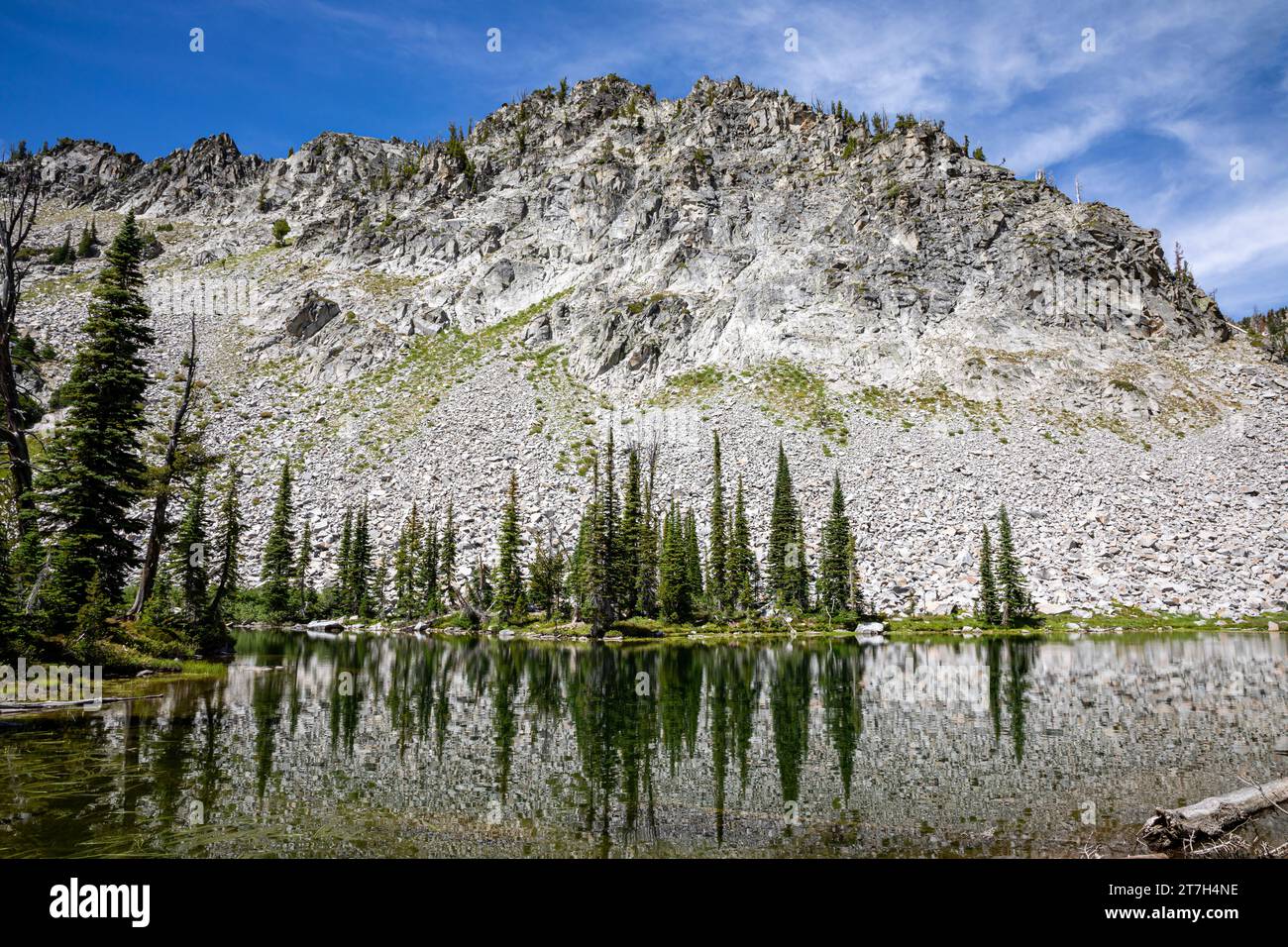 OR02767-00...OREGON - Bäume, die sich am Laverty Lake in der Eagle Cap Wilderness spiegeln, gehören zum Wallowa-Whitman National Forest. Stockfoto
