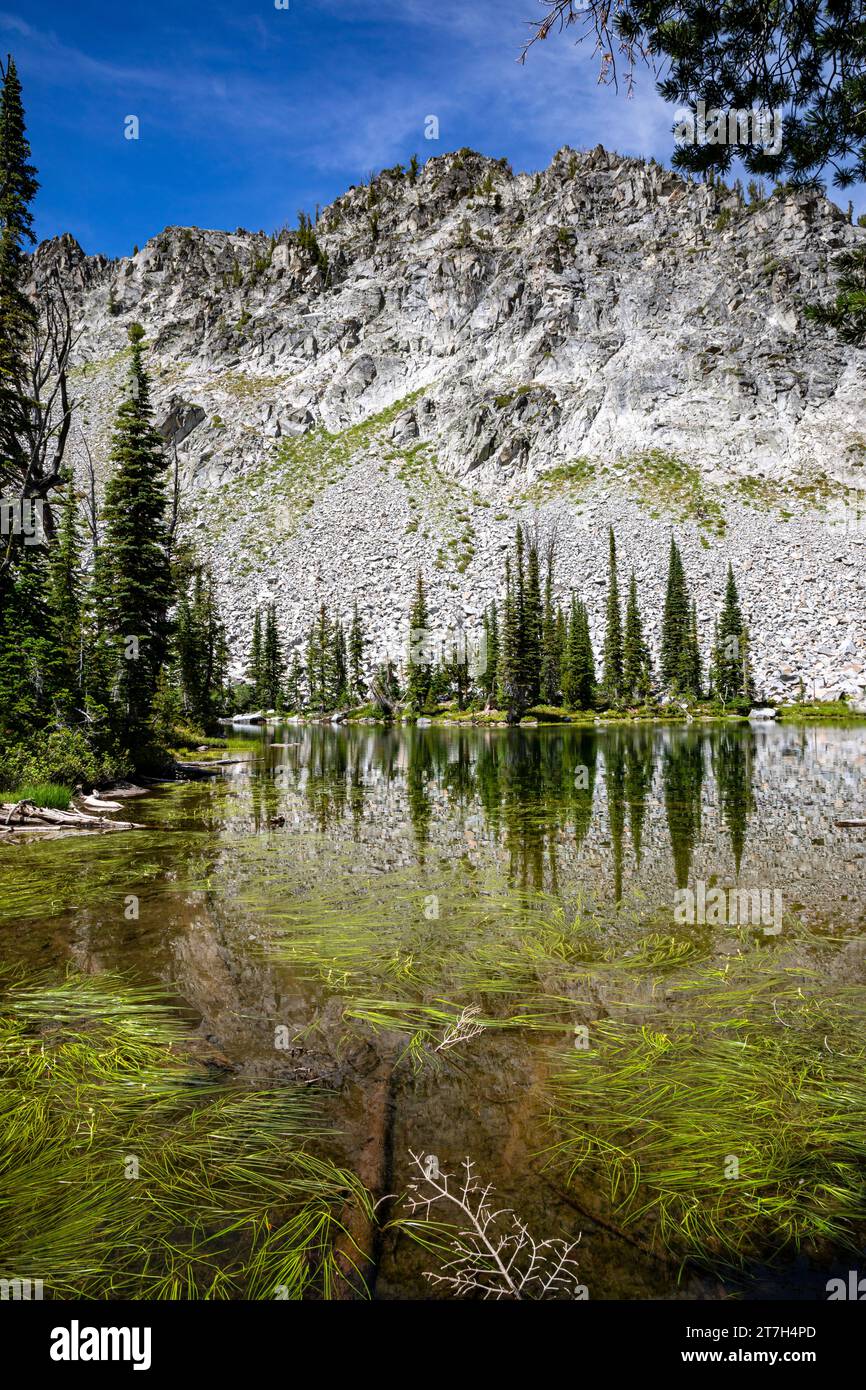 OR02768-00...OREGON - Bäume, die sich am Laverty Lake in der Eagle Cap Wilderness spiegeln, gehören zum Wallowa-Whitman National Forest. Stockfoto