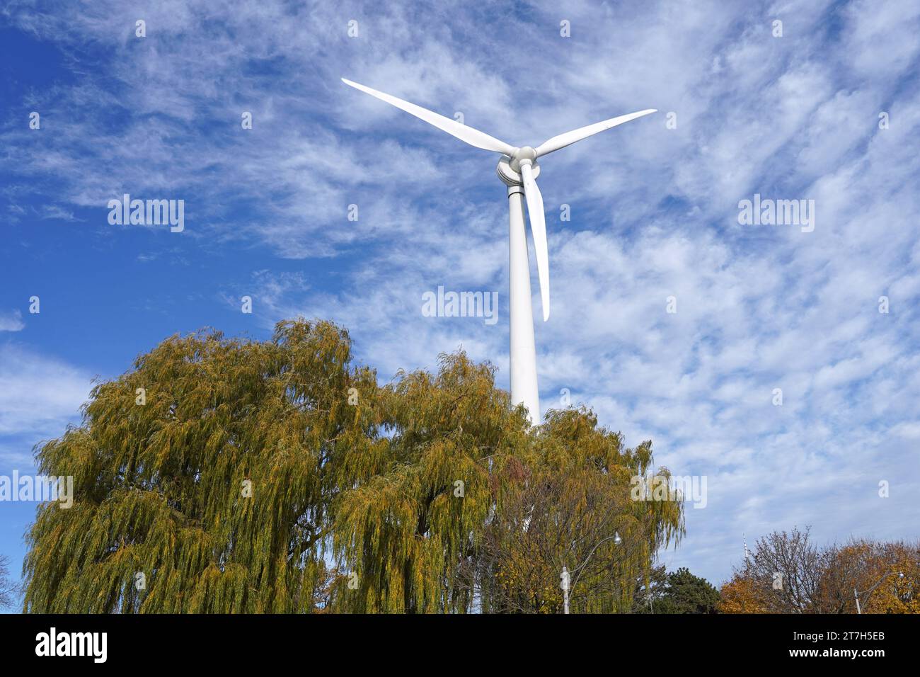 Windenergieanlage zur Stromerzeugung mit Weiden Stockfoto