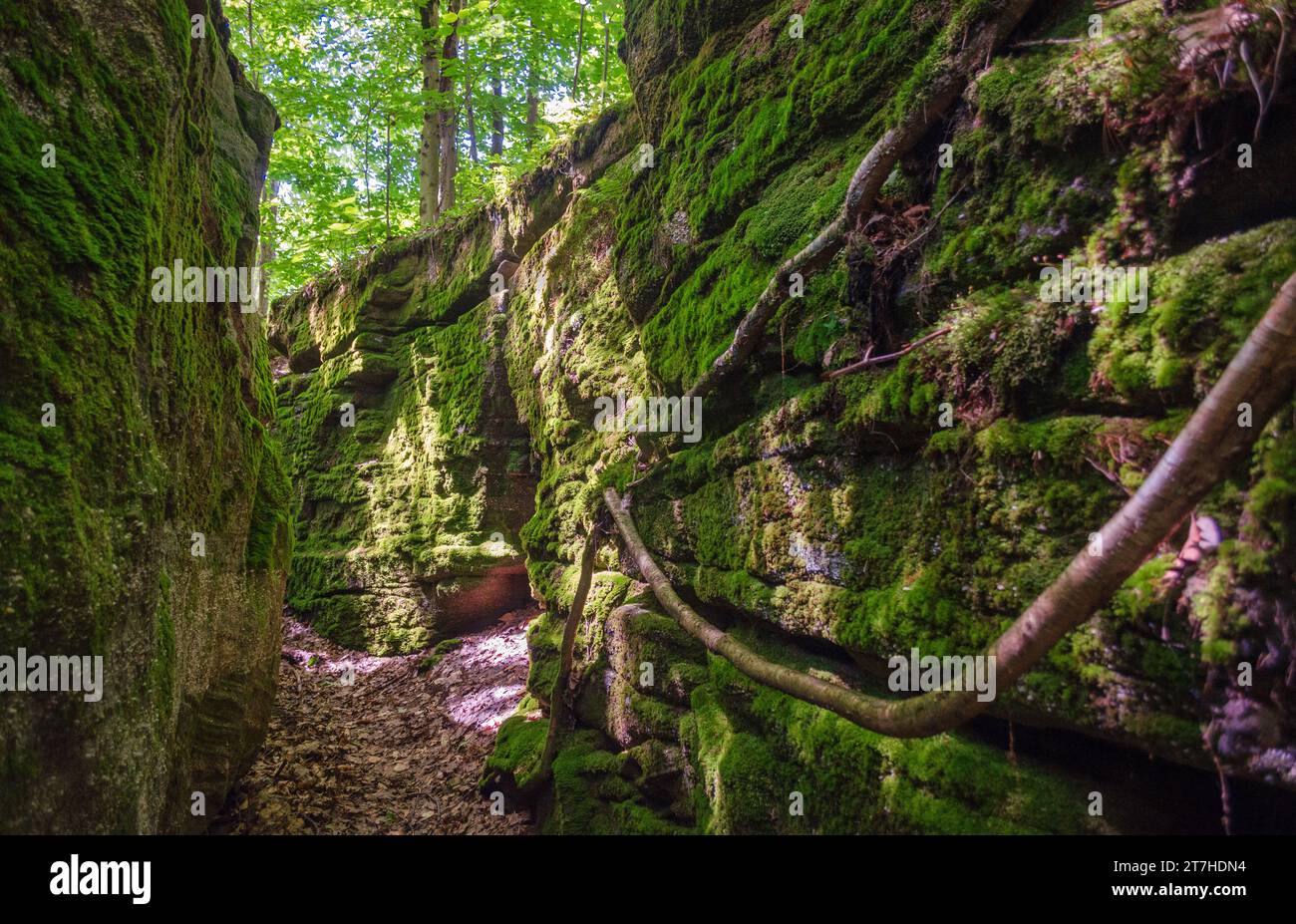 Little Rock City im Rock City State Forest im Bundesstaat New York, USA Stockfoto