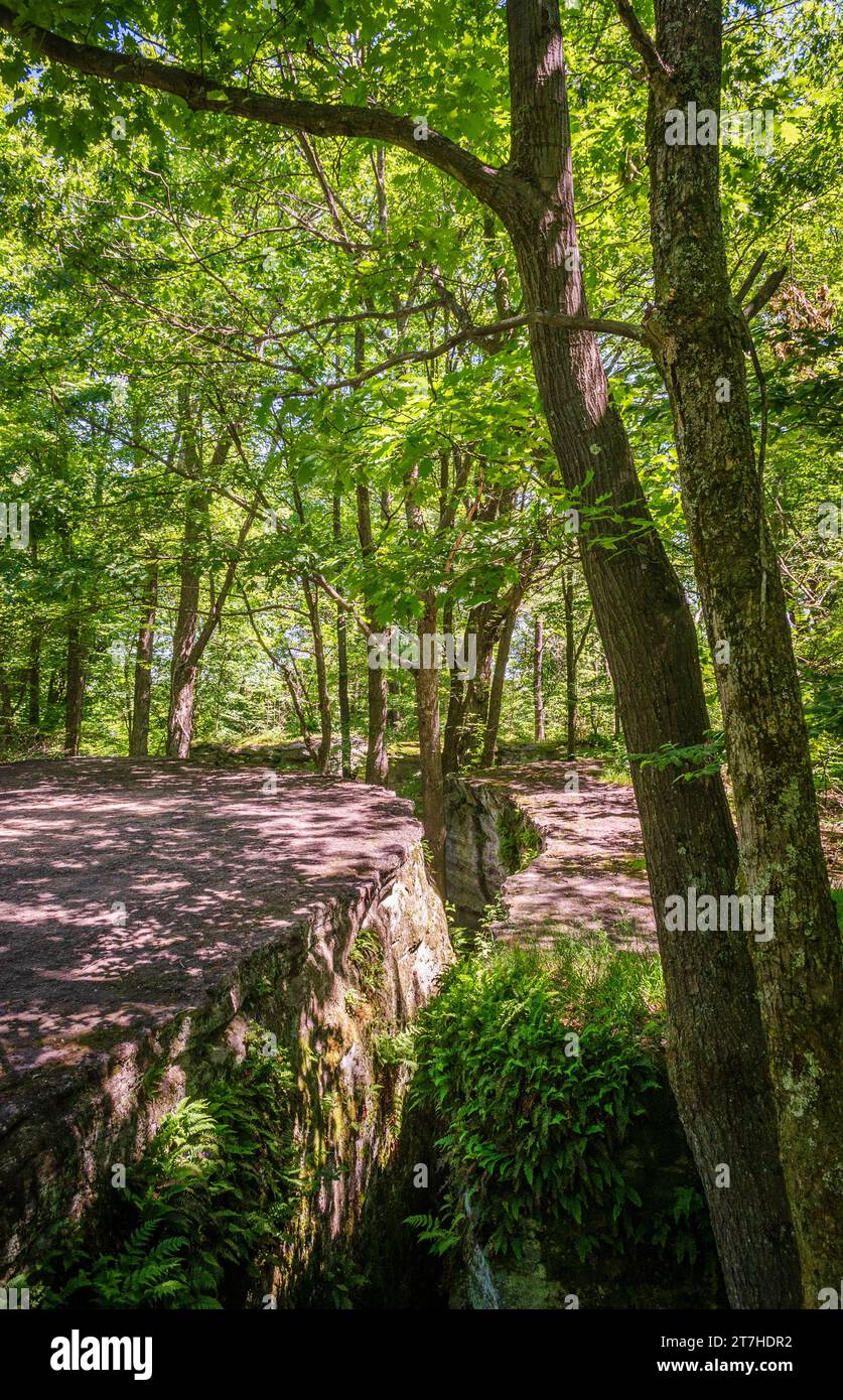 Little Rock City im Rock City State Forest im Bundesstaat New York, USA Stockfoto