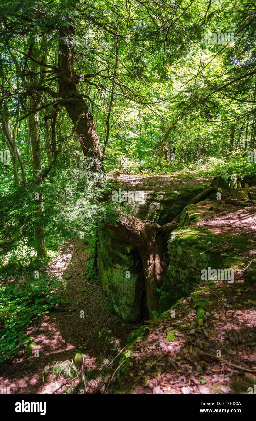 Little Rock City im Rock City State Forest im Bundesstaat New York, USA Stockfoto