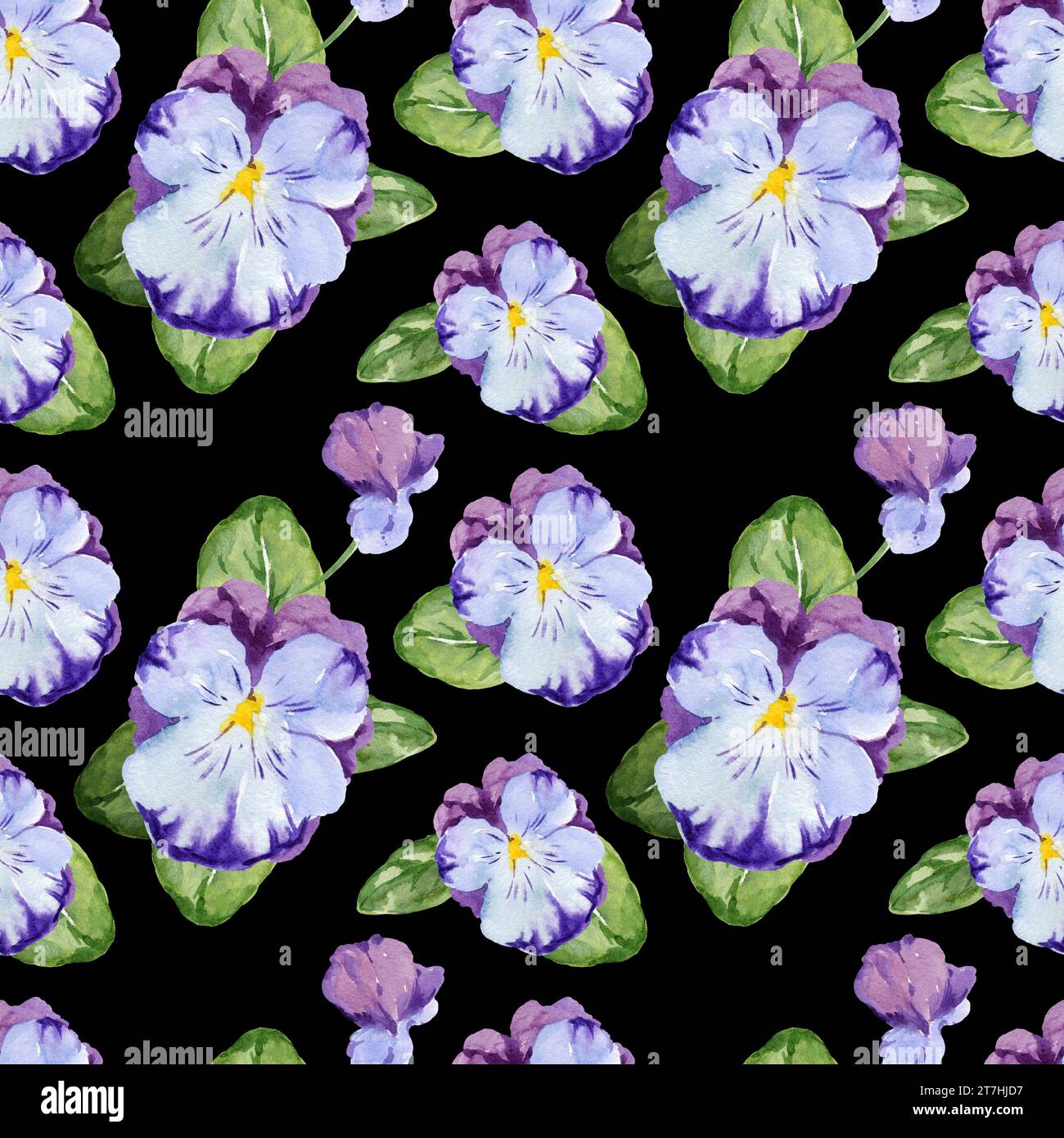 Nahtloses Aquarellmuster mit handgezeichneten Stiefmütterchenblüten und Knospen und Blättern, lila und lila Frühlingsblumen, Sommerillustration, isoliert auf Schwarz Stockfoto