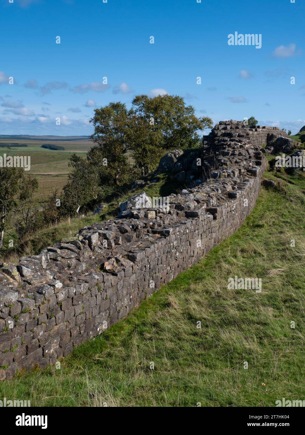 Blick auf die Hadrianswand. Stockfoto