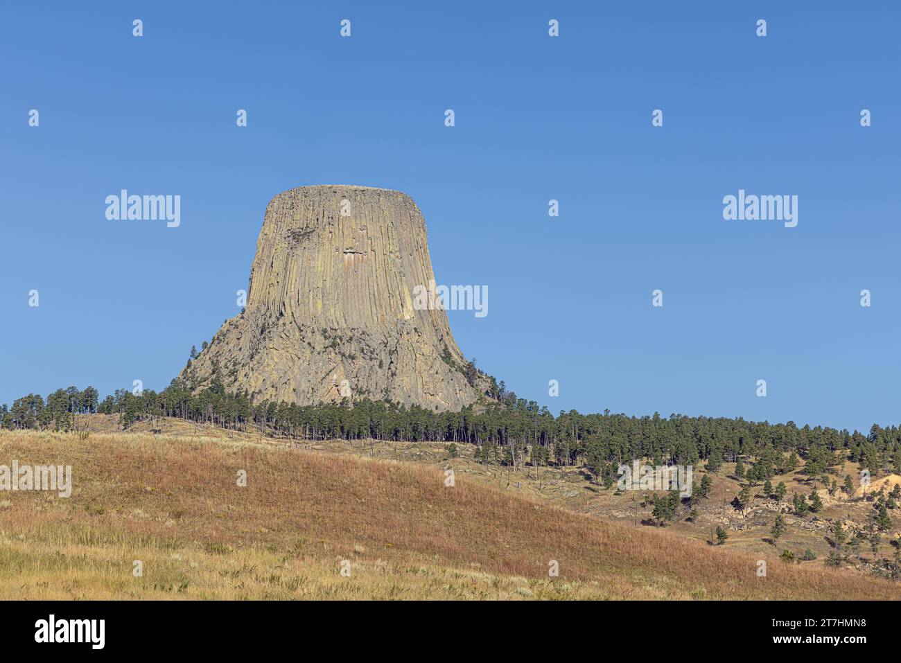 Devils Tower und seine Umgebung, vom Anfang der Zufahrtsstraße aus gesehen Stockfoto