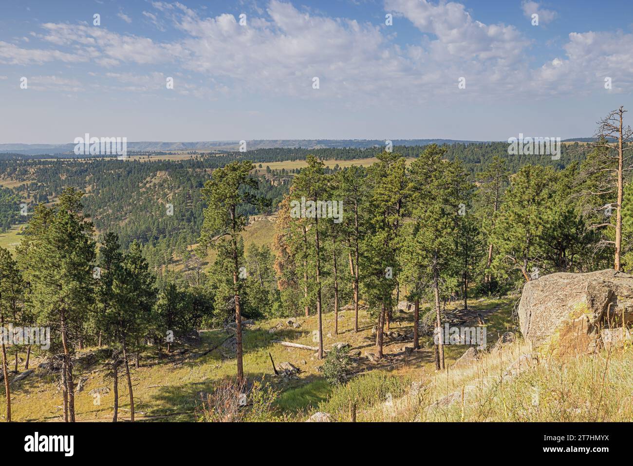 Die Landschaft rund um den Devils Tower, vom Fuß des Berges aus gesehen Stockfoto