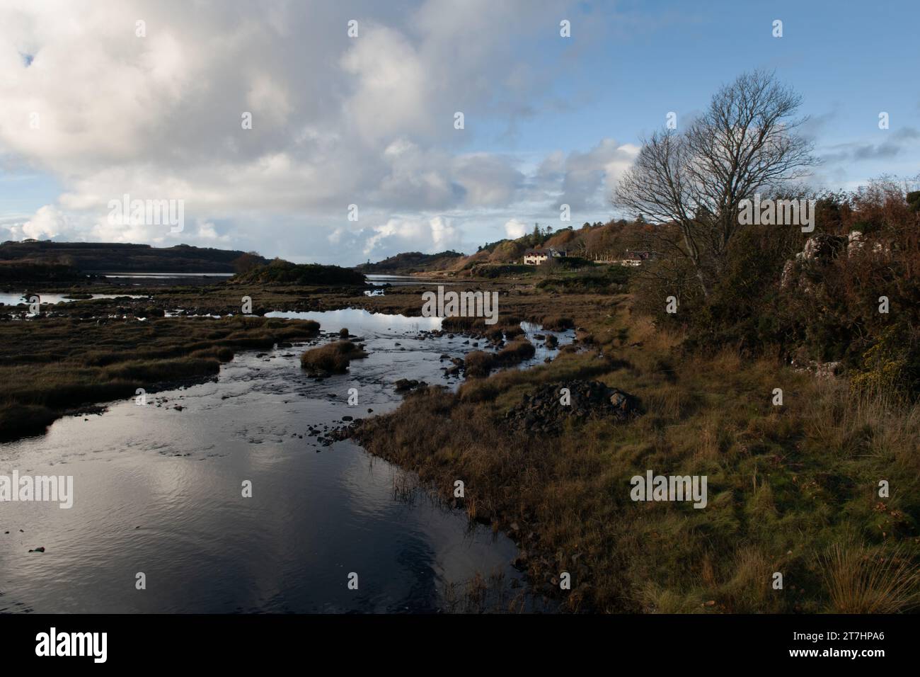 Loch A' Chumhainn, Dervaig, Isle of Mull, Schottland, Großbritannien Stockfoto