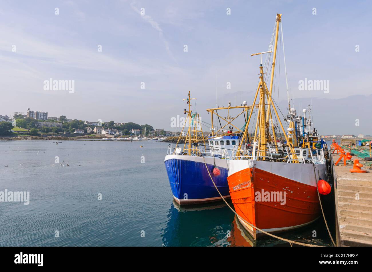 Trawler, die in einem Hafen in Ardglass, Nordirland, Vereinigtes Königreich, gefangen sind Stockfoto