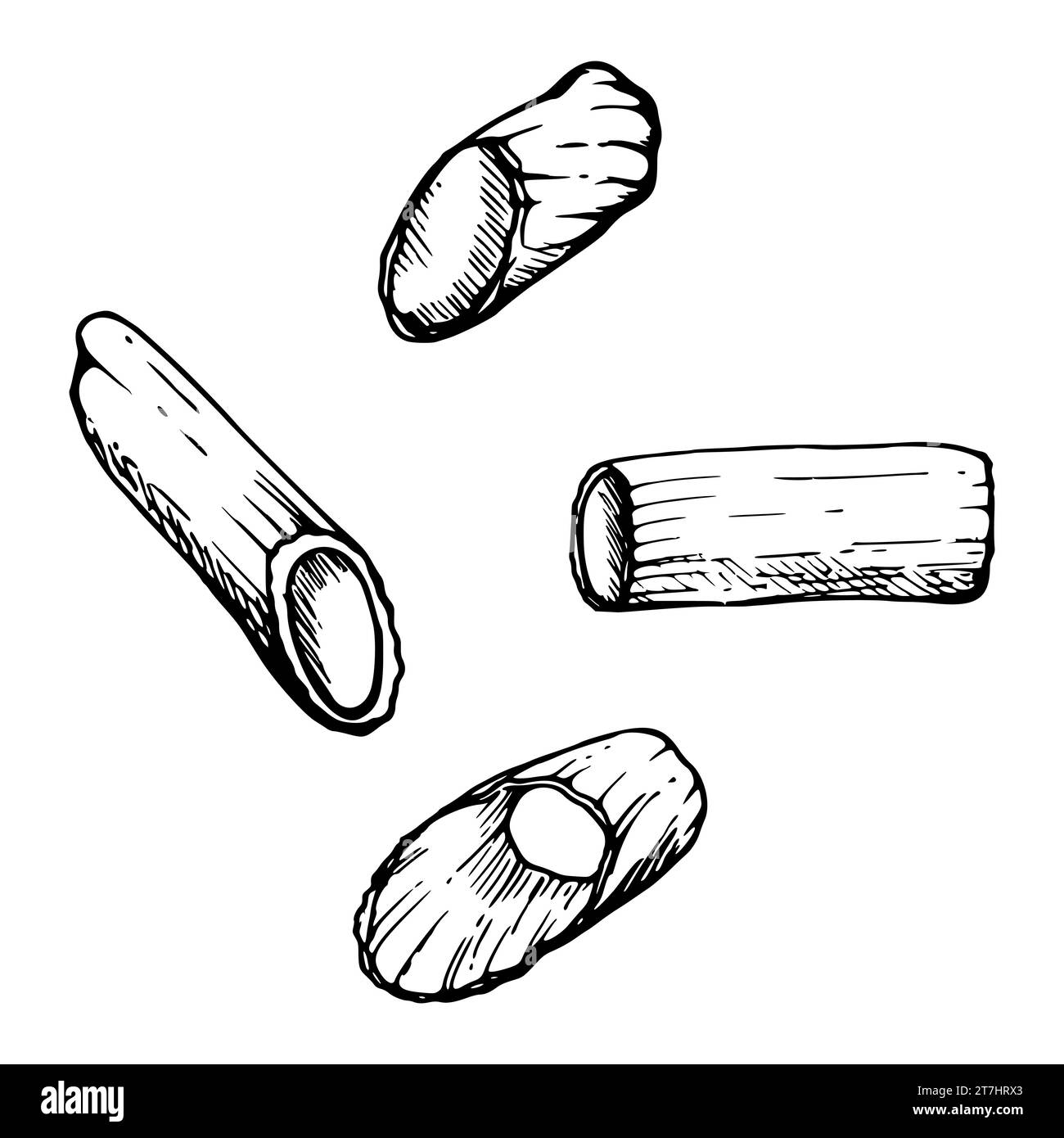 Handgezeichnete Vektortinte Illustration. Pasta italienische Küche Penne rigatoni traditionelles Gericht. Set von einzelnen Objektelementen, die auf weiß isoliert sind. Für Stock Vektor