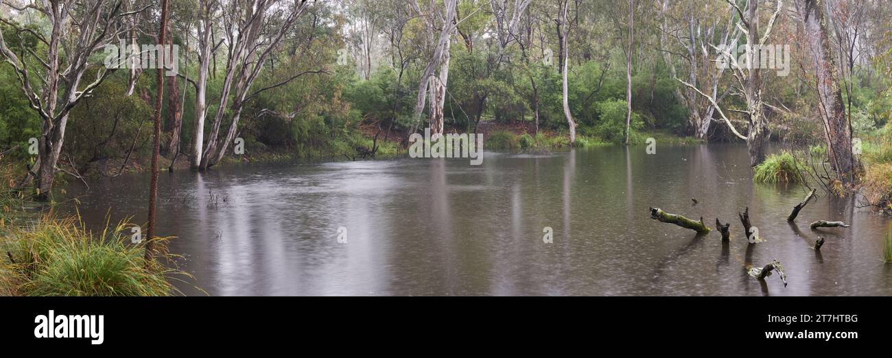 Horseshoe Billabong An Einem Nassen Morgen Stockfoto