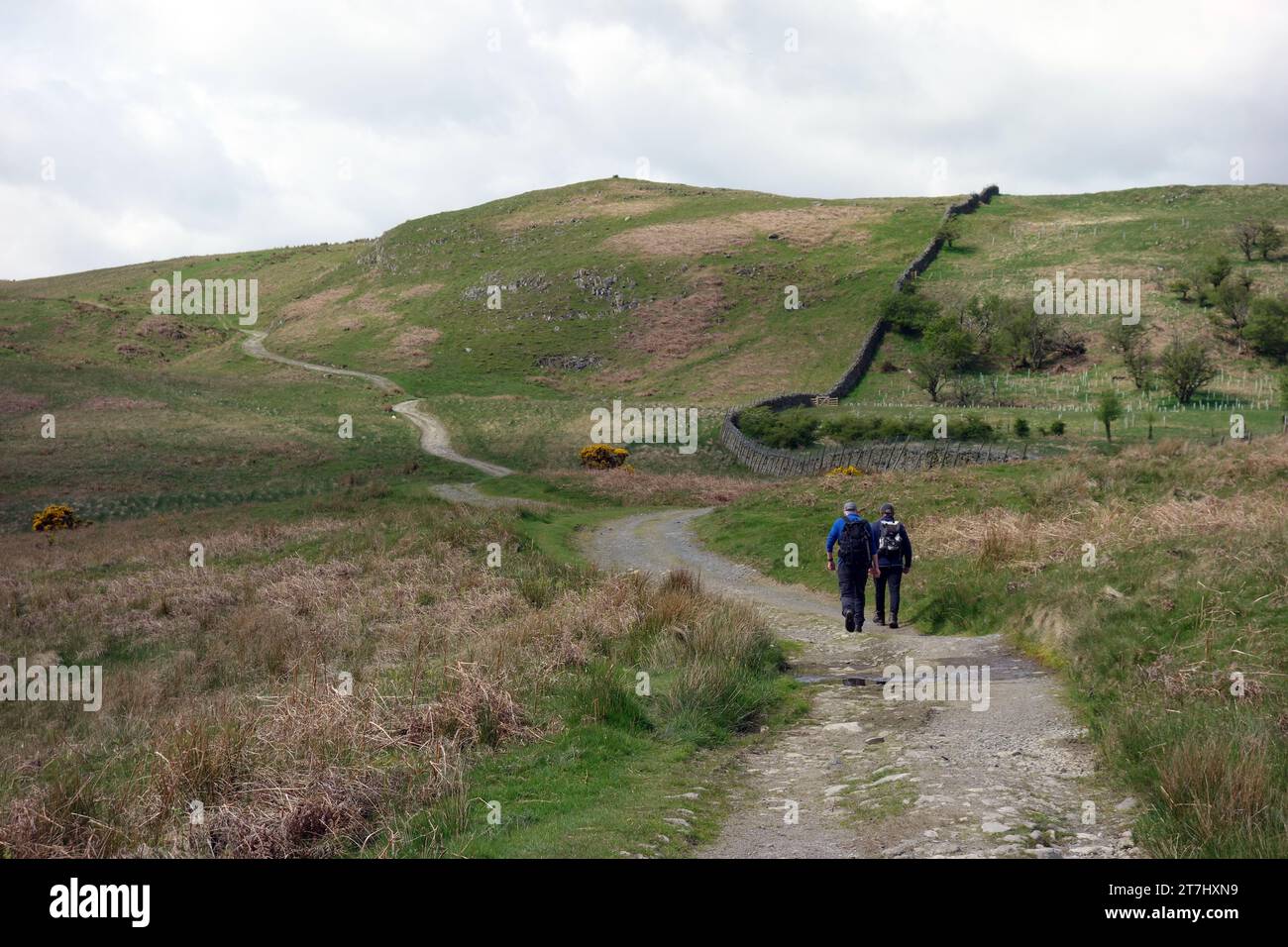 Two Men (Wanderer) Walking on the Track to the Outlying Wainwright „Scalebarrow Knott“ im Swindale Lake District National Park, Cumbria, England. Stockfoto