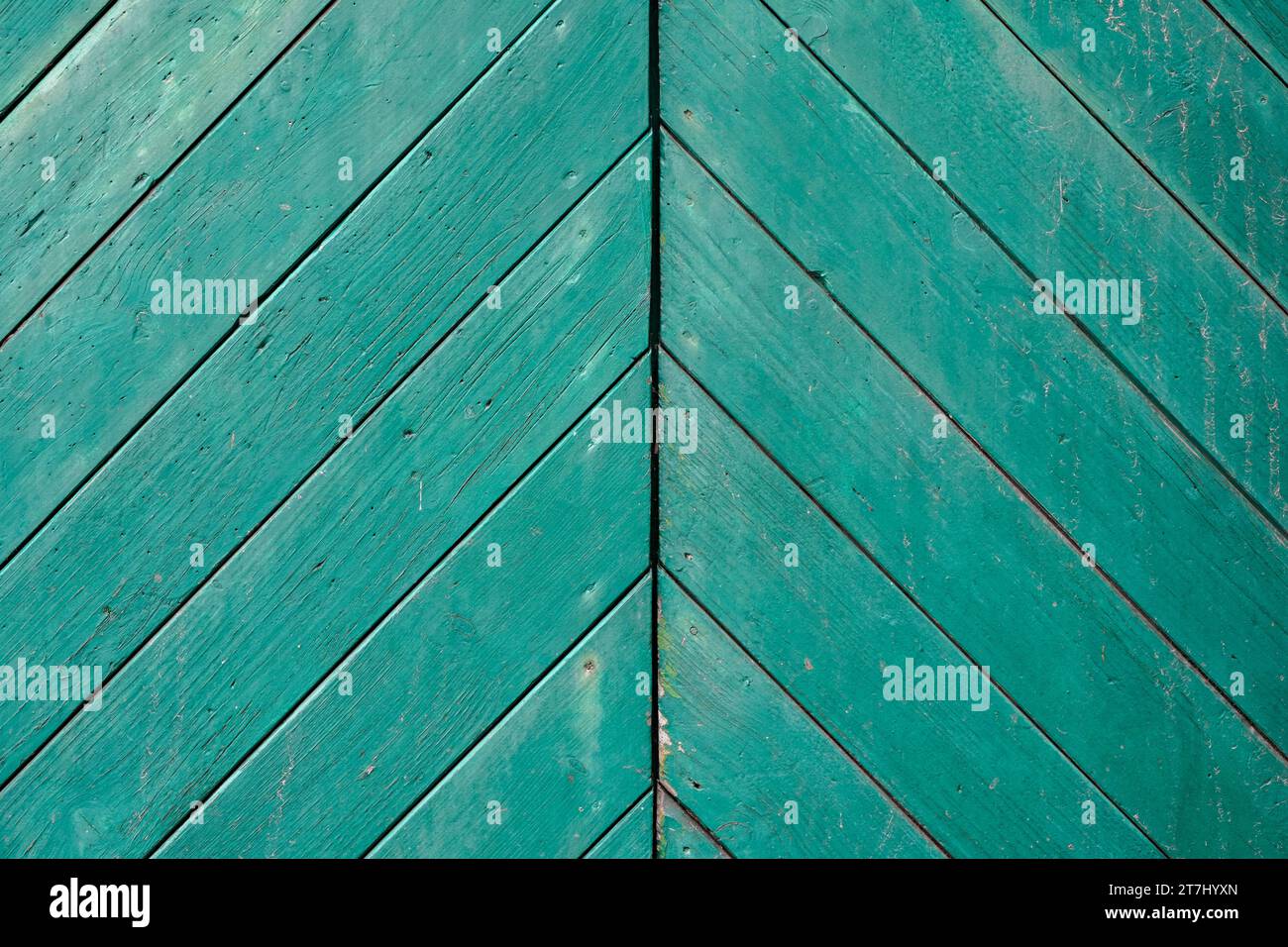 Scheunentür aus grün lackiertem Holz. Rustikaler Hintergrund. Stockfoto
