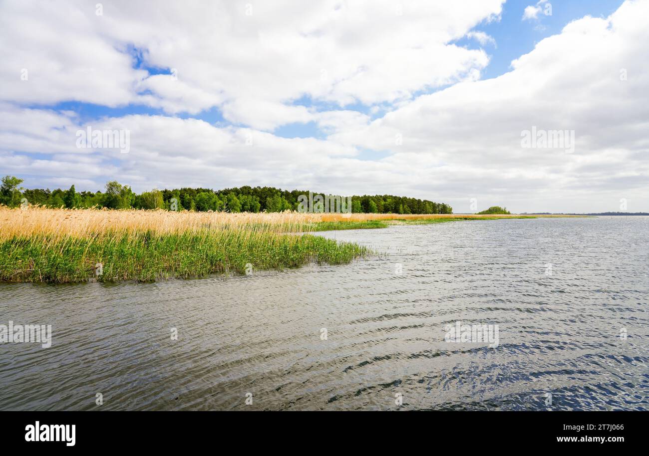 Blick auf den See Zalew Kamienski. Landschaft an der Lagune der Dziwna, die in die Ostsee mündet. Die Natur in der Woiwodschaft Polnisch Westpommern Stockfoto